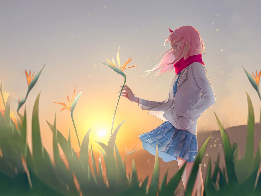 Anime Zero Two Darling In The FranXX Wallpaper