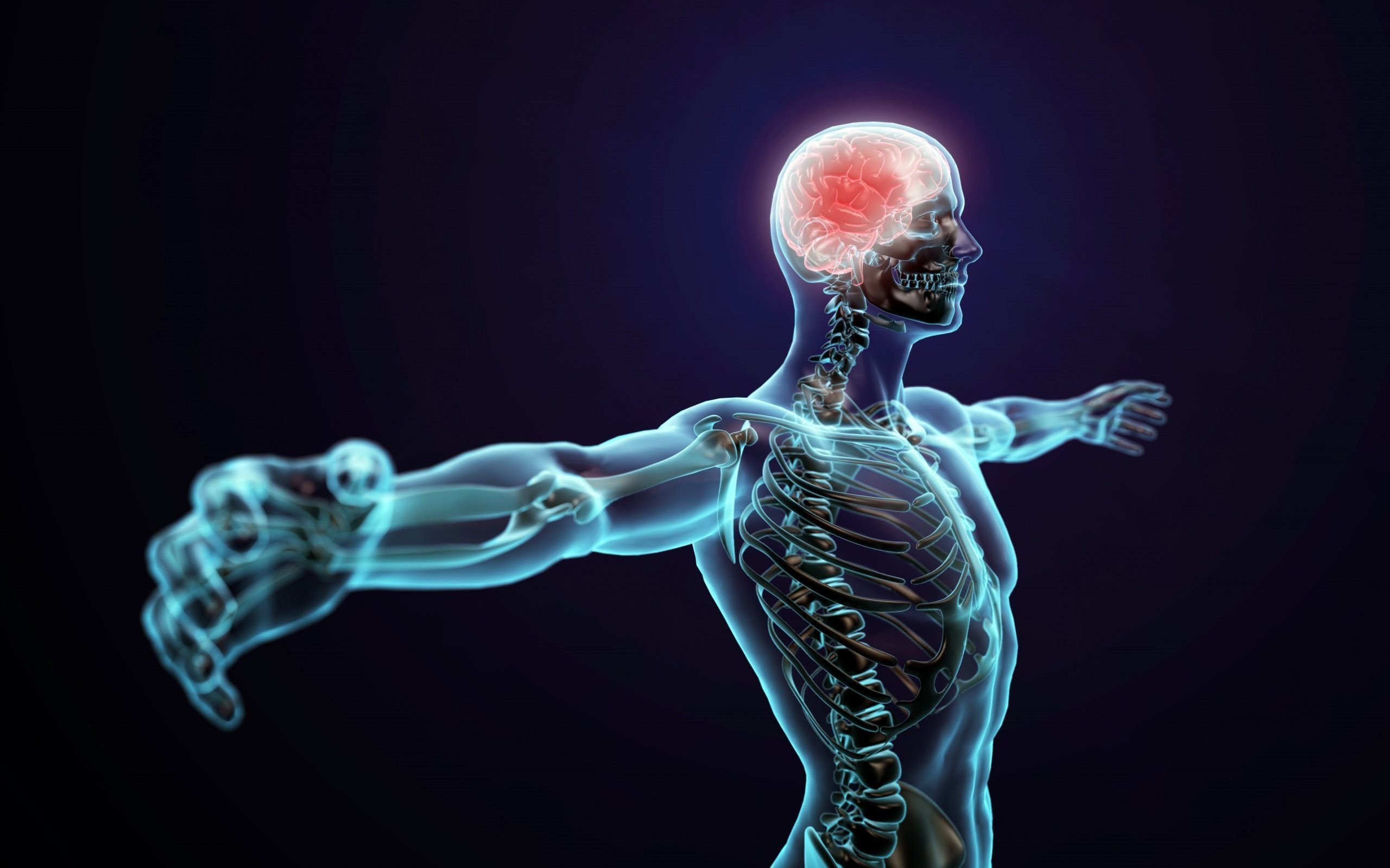 Download wallpaper 3D person, brain, spine, science for desktop with resolution 2560x1600. High Quality HD picture wallpaper