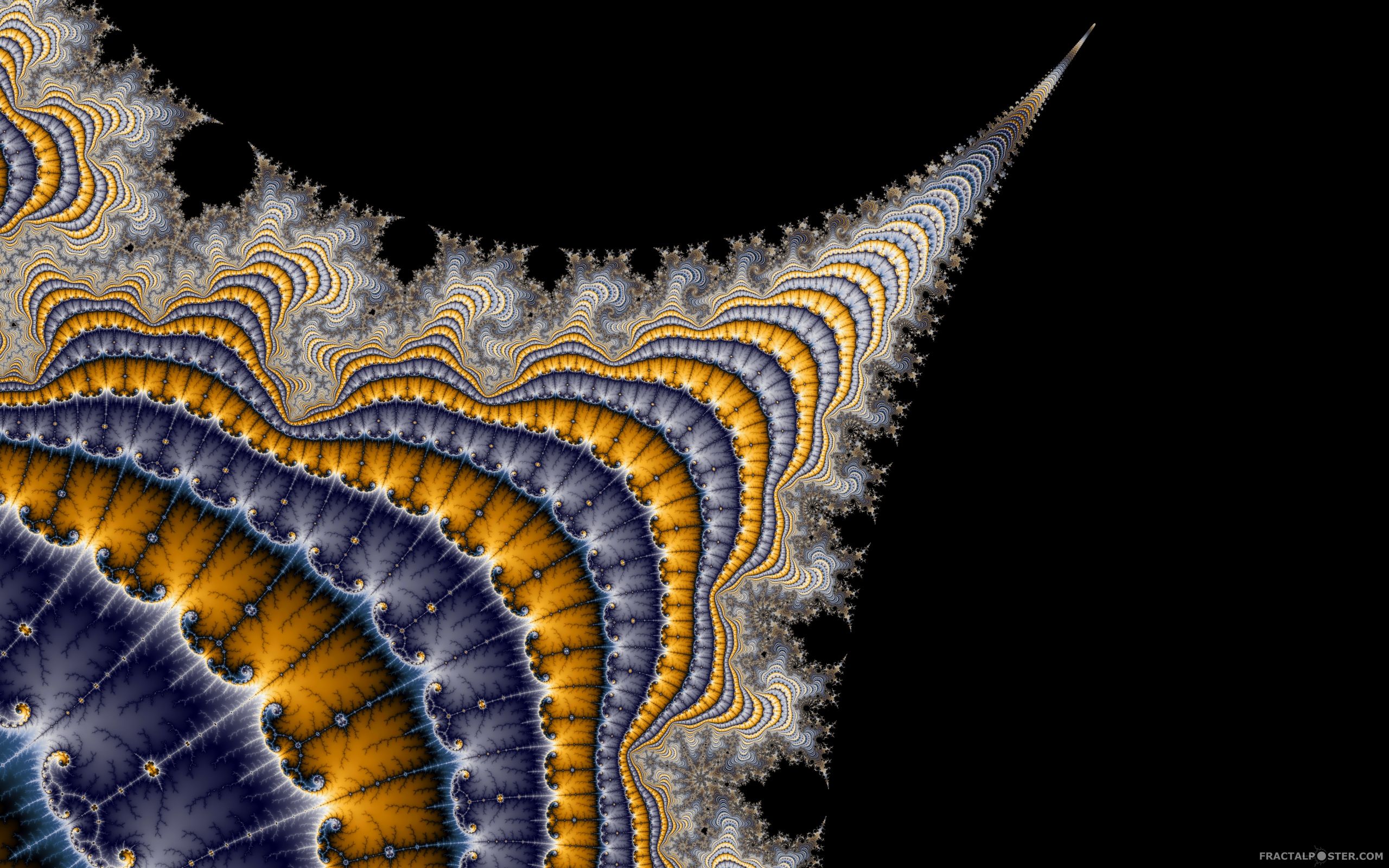 spine fractal fractal image by hermp. HD Wallpaper, posters, comments and rates