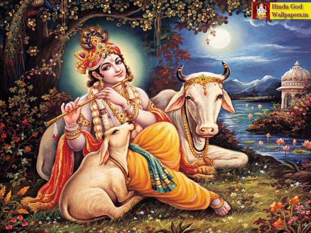 Lord Shri Krishna Photo. God Krishna. Hare Krishna Gods Wallpaper. Lord krishna wallpaper, Lord krishna image, Krishna picture
