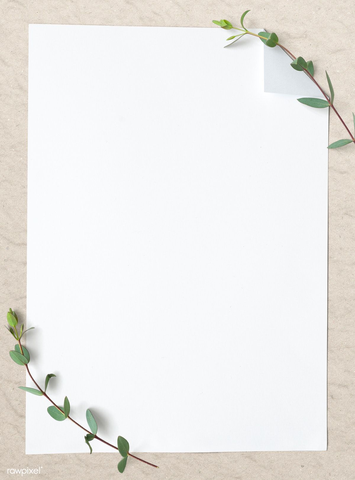Blank plain white paper. premium image / KUTTHALEEYO. Paper , Flower background wallpaper, Photo collage