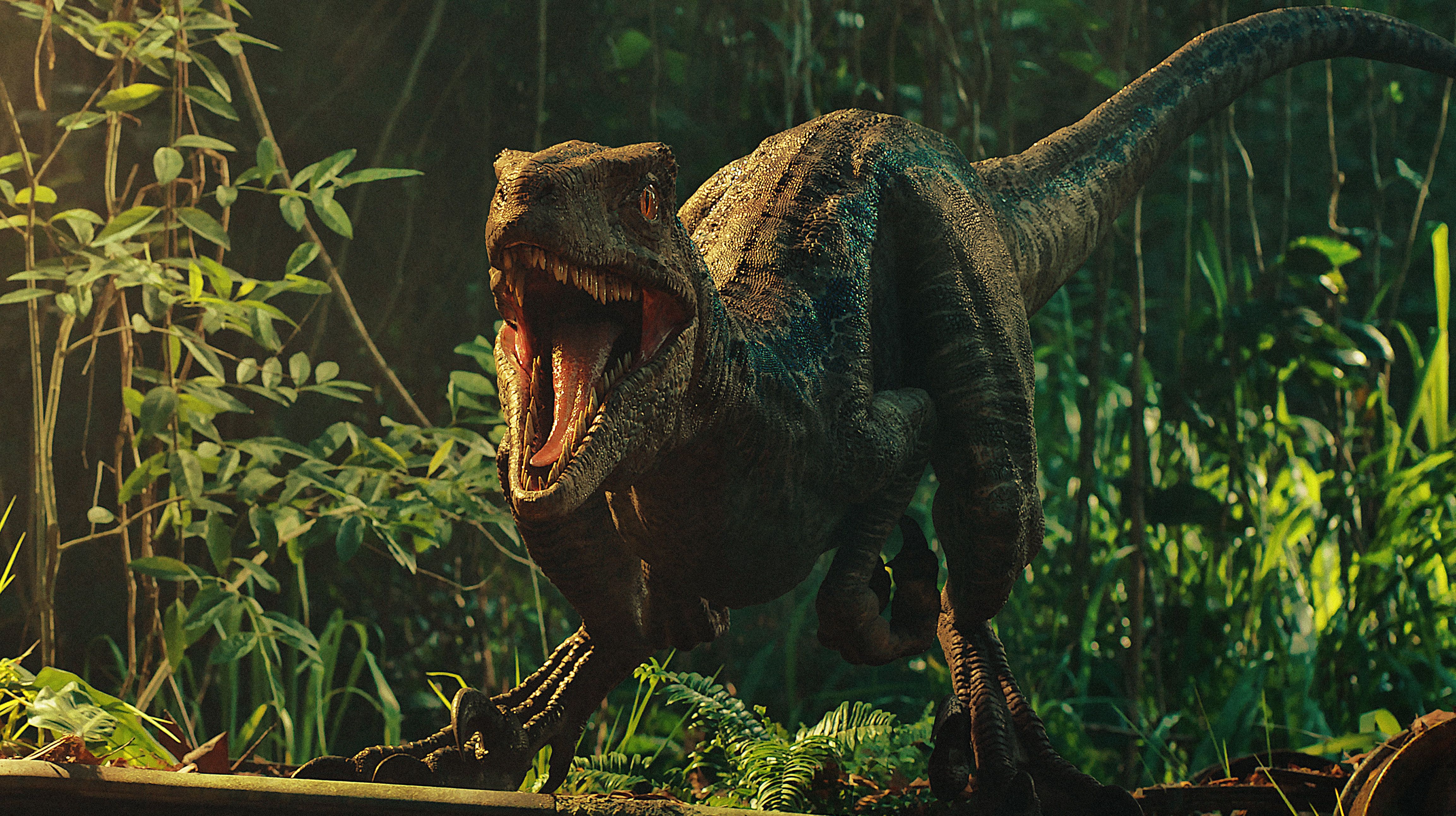 Jurassic World Fallen Kingdom Dinosaurs 4K Wallpaper, HD Movies 4K Wallpaper, Image, Photo and Background