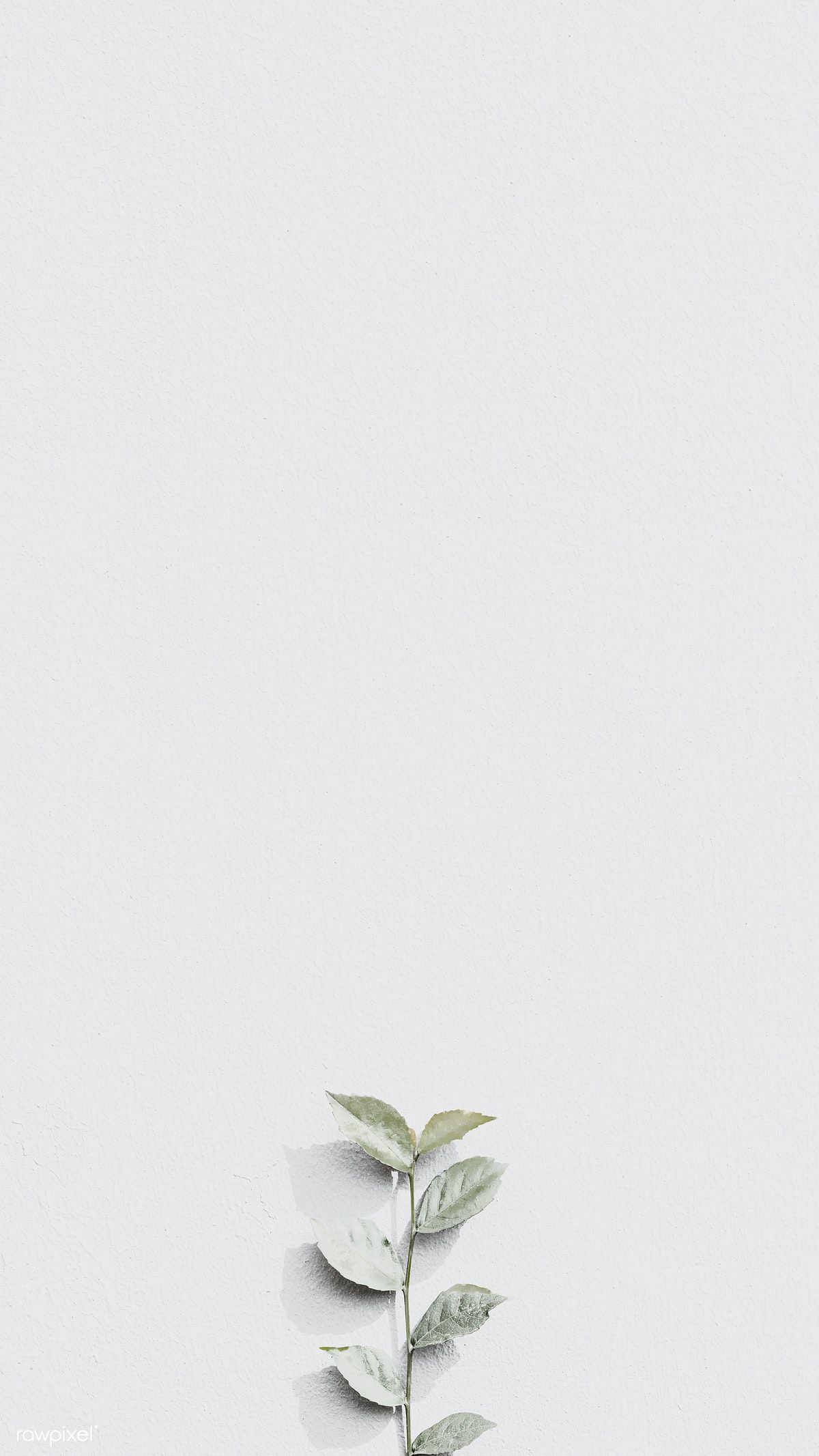 White plant branch on a gray brick wall in natural light background mobile wallpaper. free image. Grey wallpaper iphone, White background wallpaper, White plants