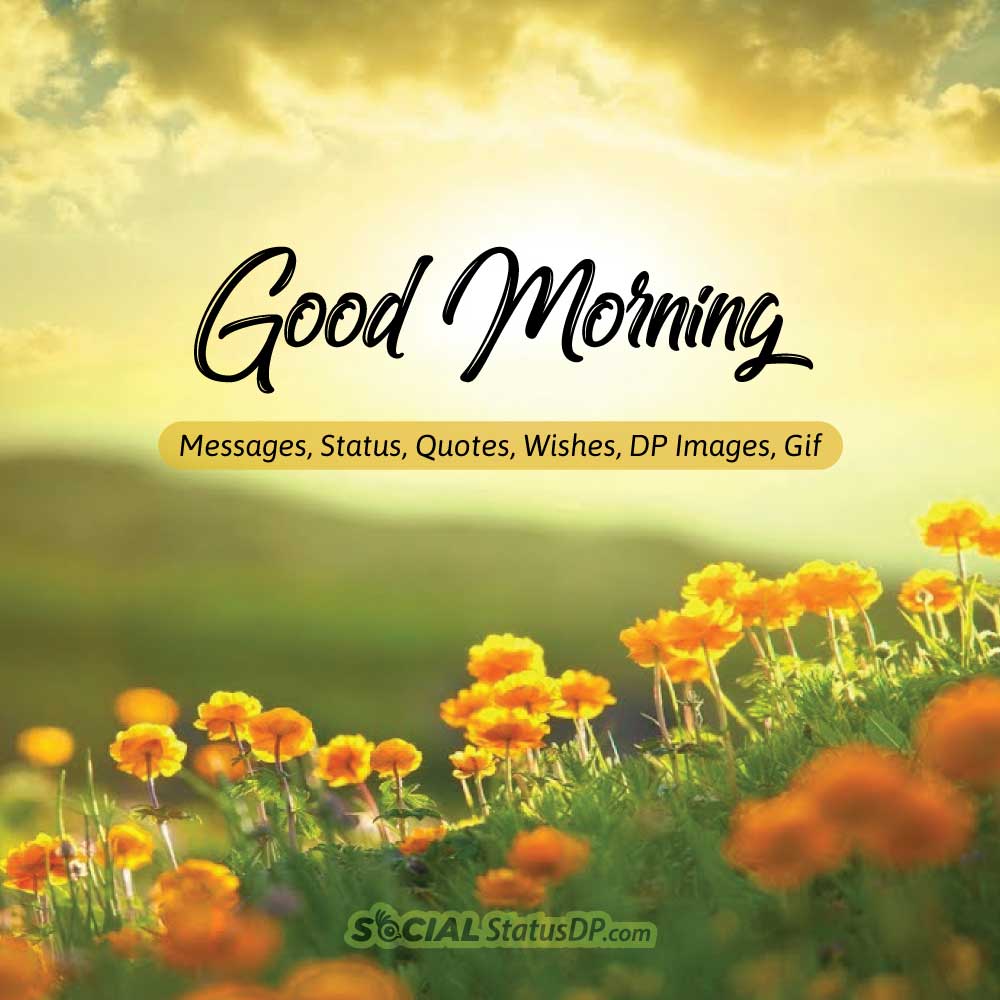 Best Good Morning Dp Image Wallpaper With Messages, Morning Ke Liye