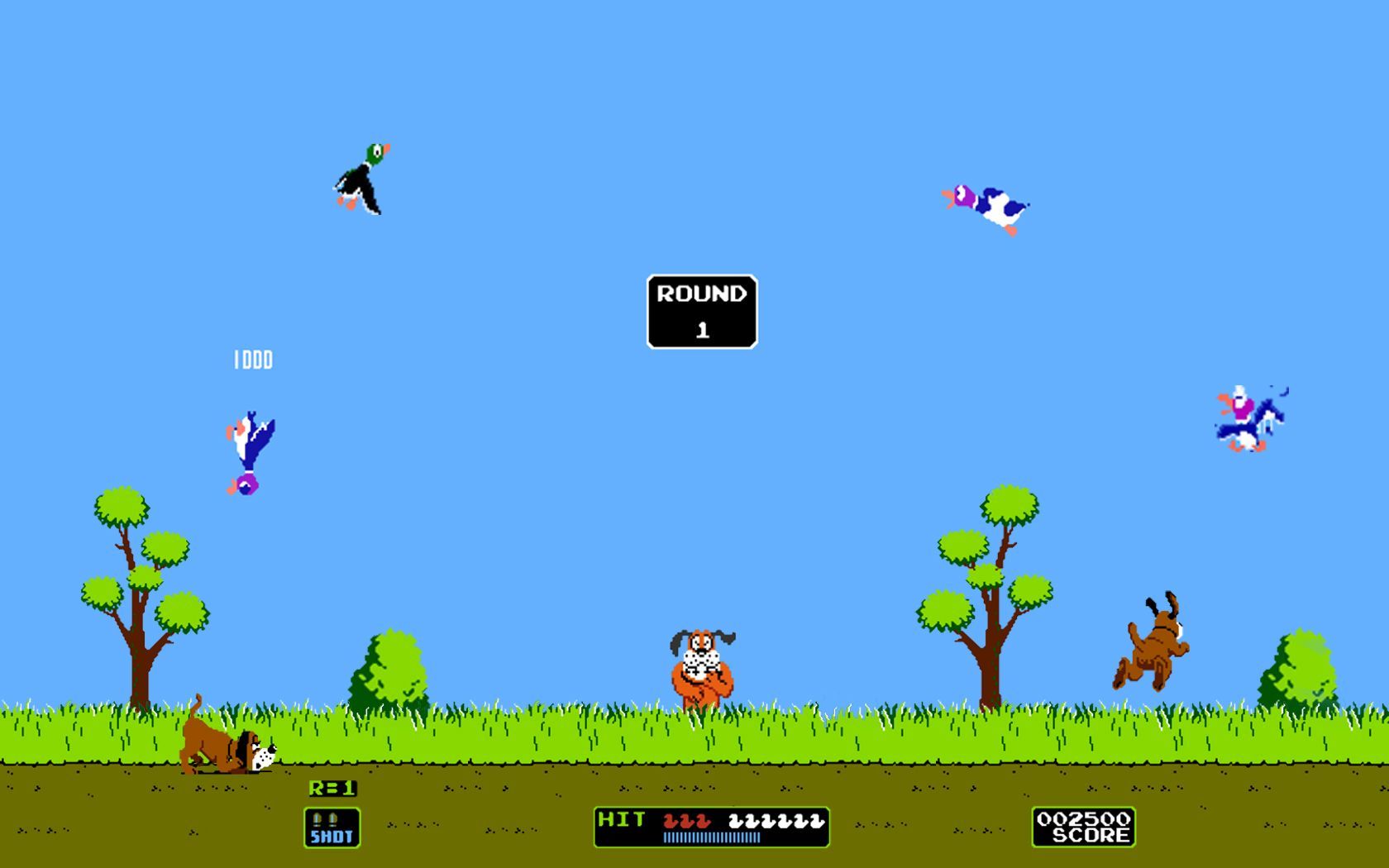 Duck Hunt by SSr. Bizarre facts, Old nintendo games, All about time