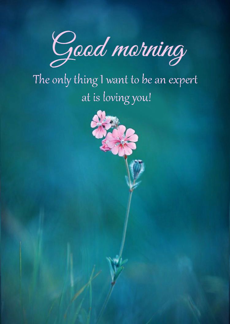 Good Morning Messages Loving You Morning Image, Quotes, Wishes, Messages, greetings & eCards