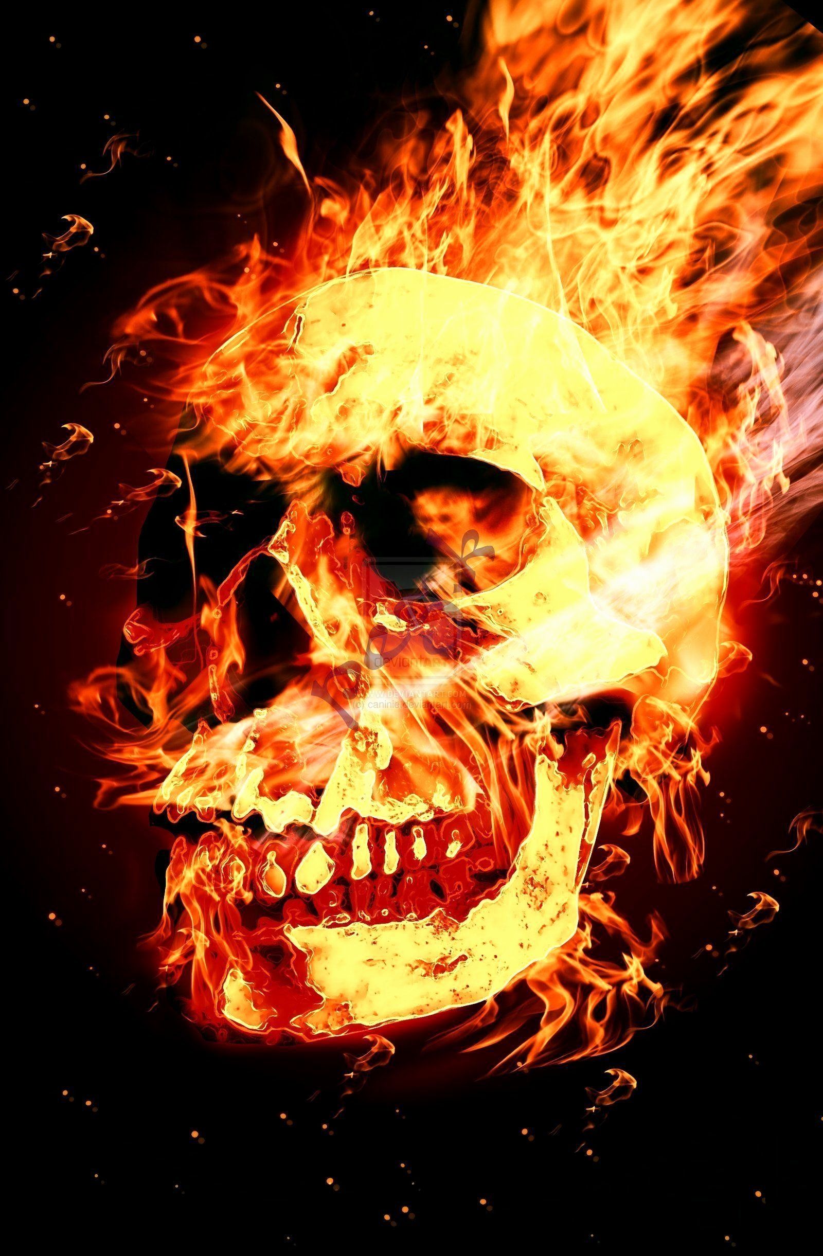 Awesome Fire Skull Wallpaper Ideas of The Hudson