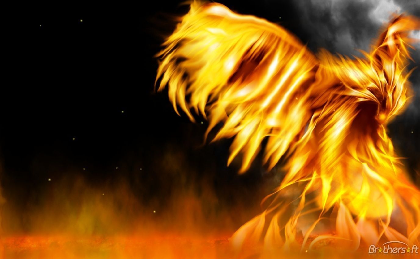 Free Animated Fire Wallpaper Free Free Animated Fire Background