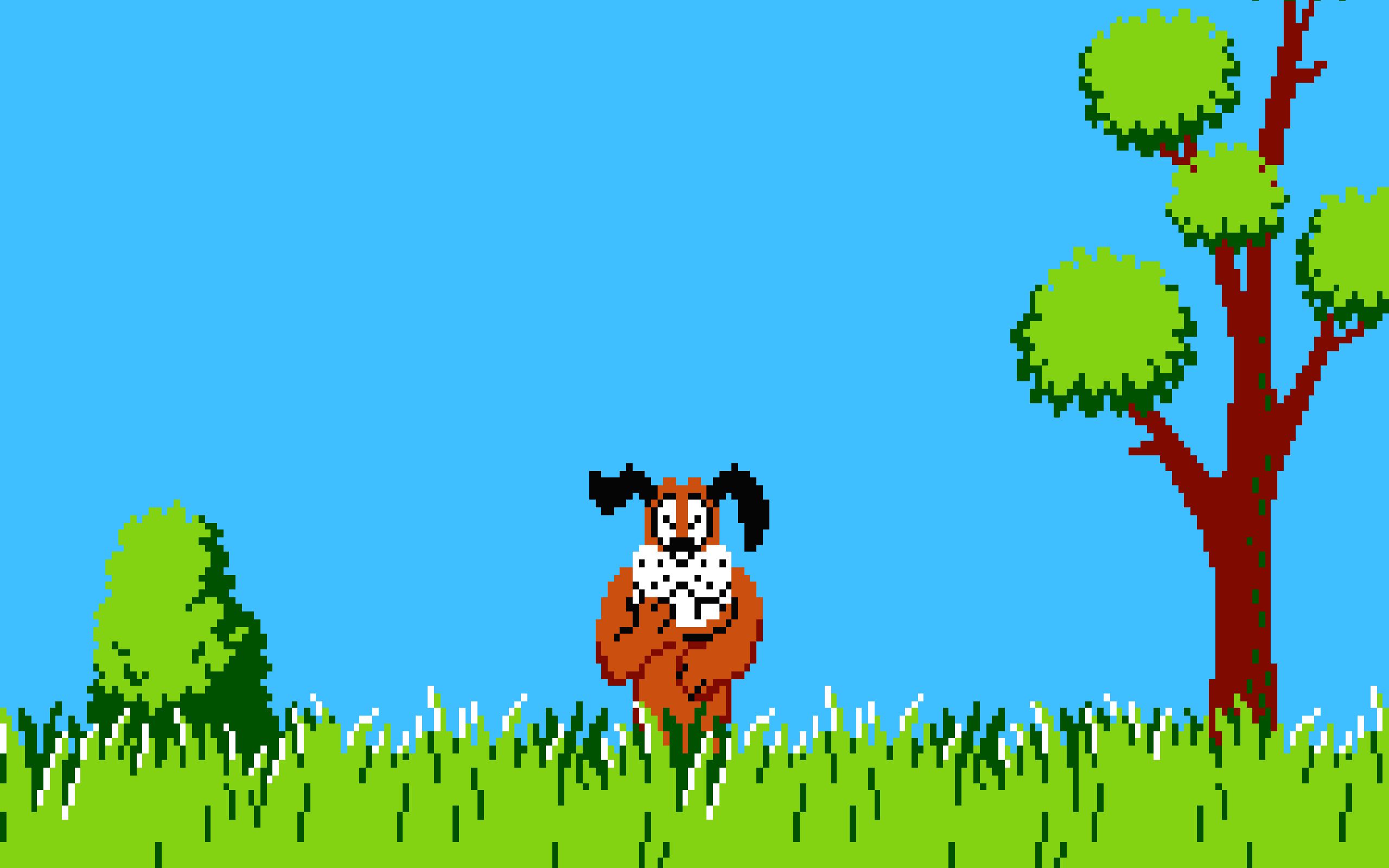 Duck Hunt Wallpapers - Wallpaper Cave