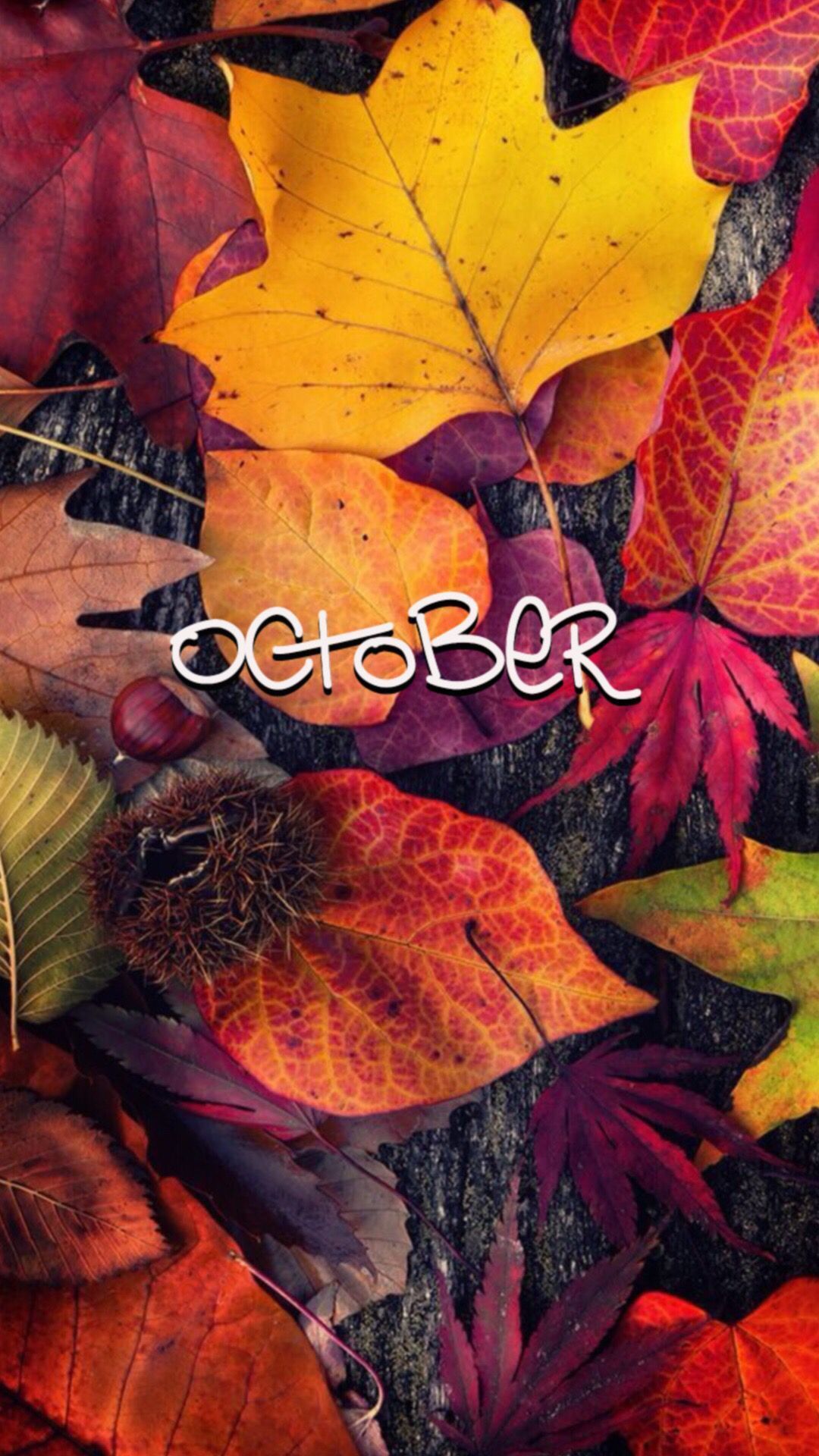 octoberwallpaperiphone #octoberwallpaper #octoberwallpaperiphone. Autumn phone wallpaper, Fall wallpaper, Hello october