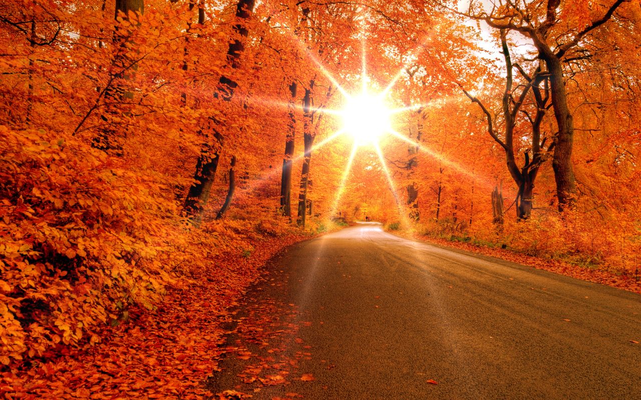 Sunset Autumn Road Wallpaper and Cute 2560x1600PX Autumn Desktop Wallpaper 1024x768