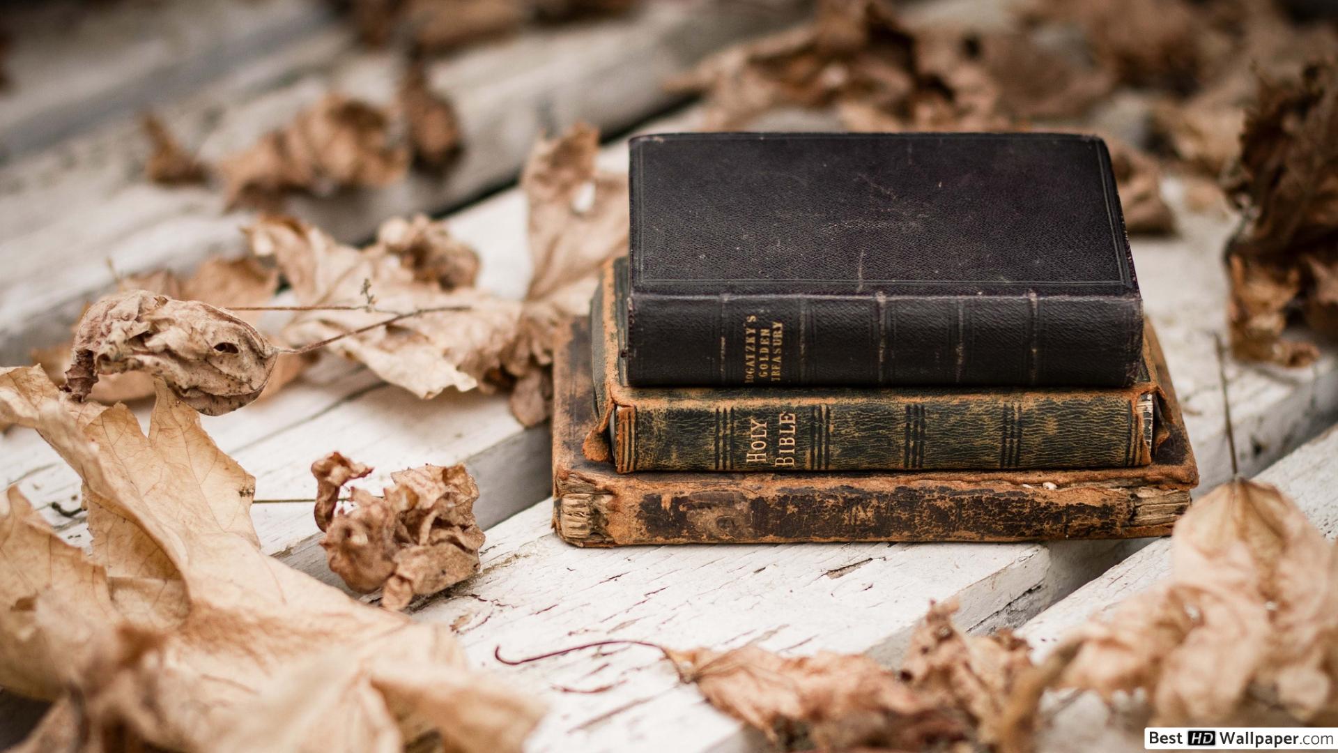 Autumn leaves and very old books 2K wallpaper download