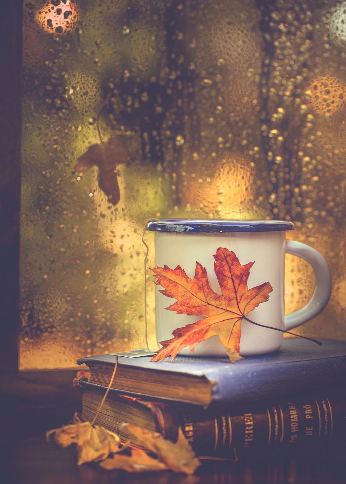 Books, tea and rain drops. Fall picture, Autumn inspiration, Autumn cozy