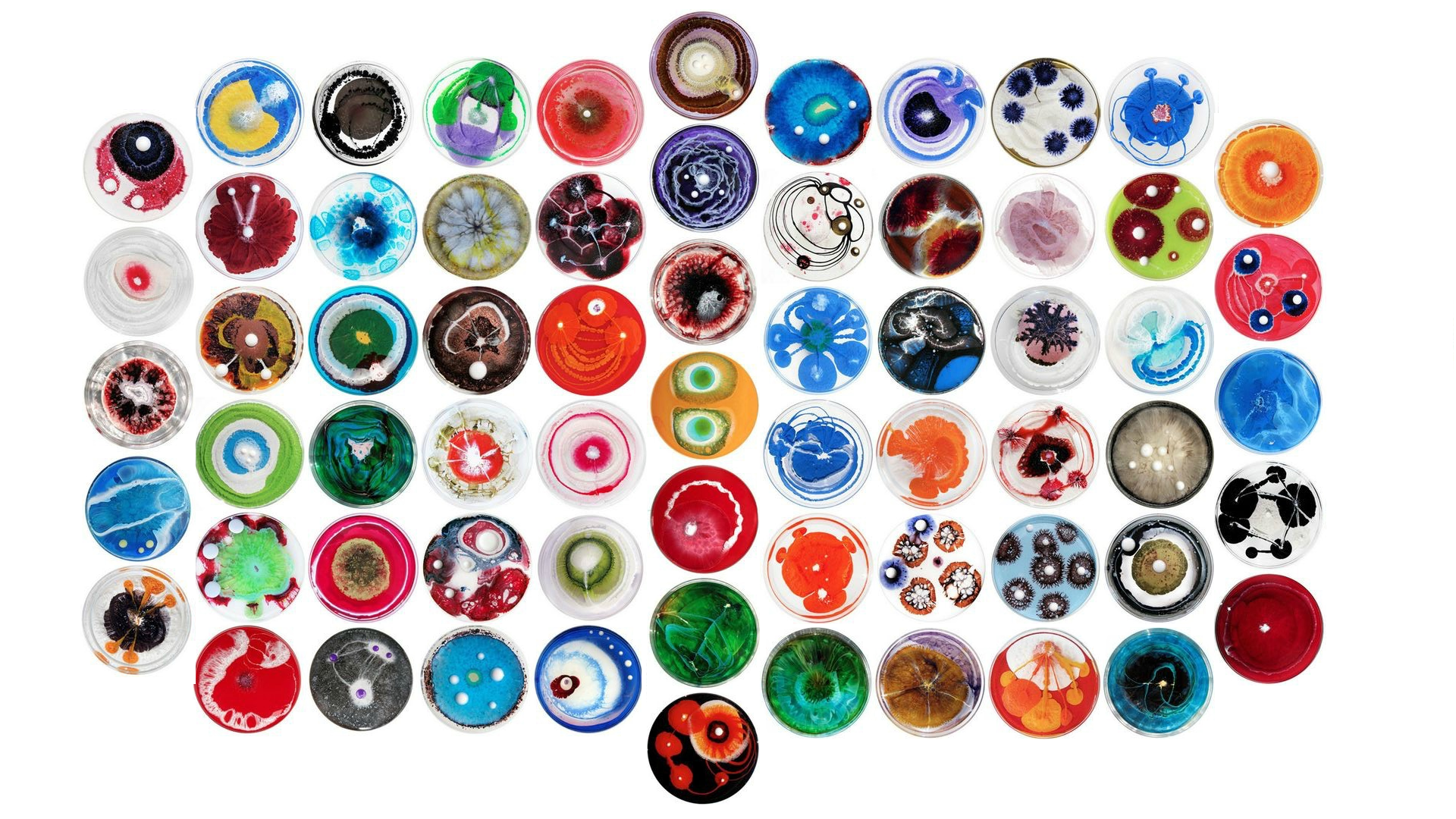 I Edited The Petri Dishes Of U Imsozzy Into A Wallpaper [1920x1080]