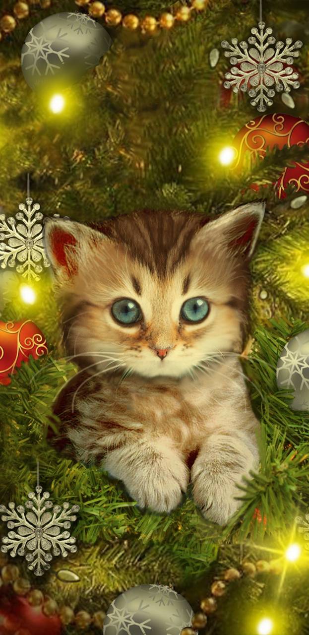 Christmas Kitty wallpaper