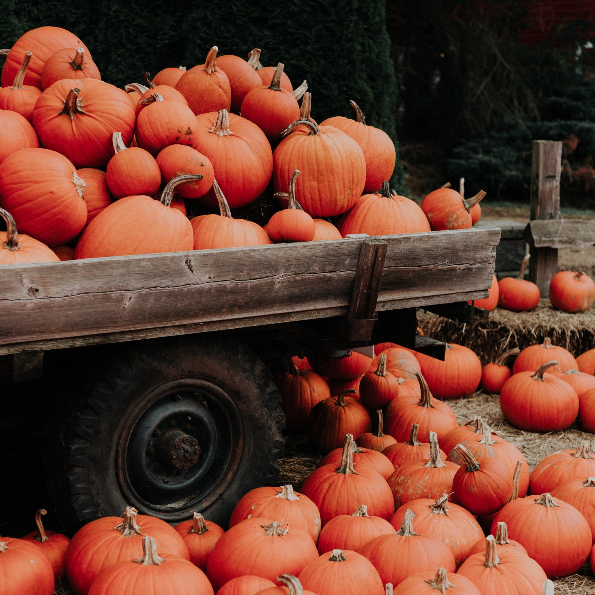 Autumn Rustic Wallpapers - Wallpaper Cave