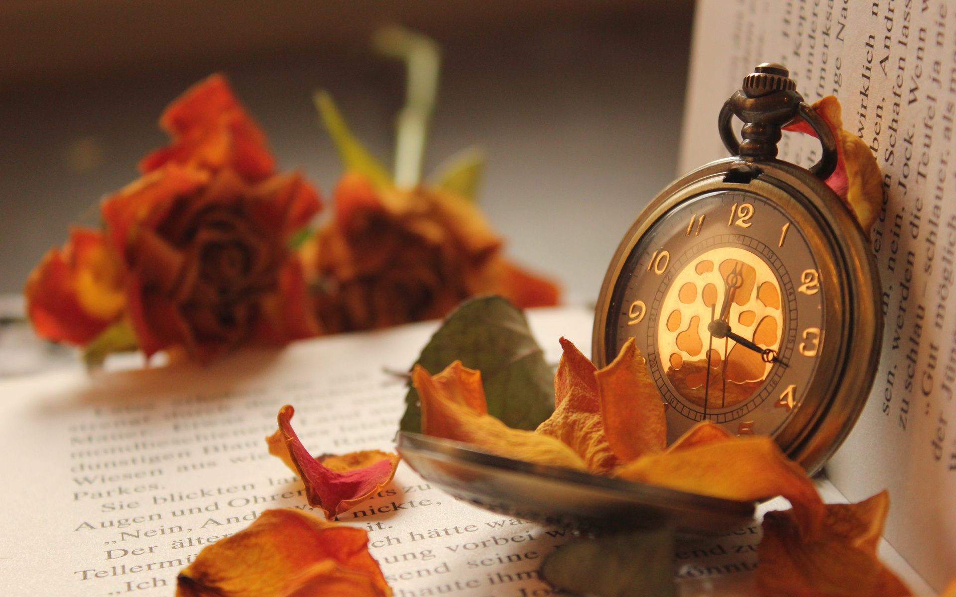 Flowers, Watch, Pocket, Rose, Petals, Book And Books Time
