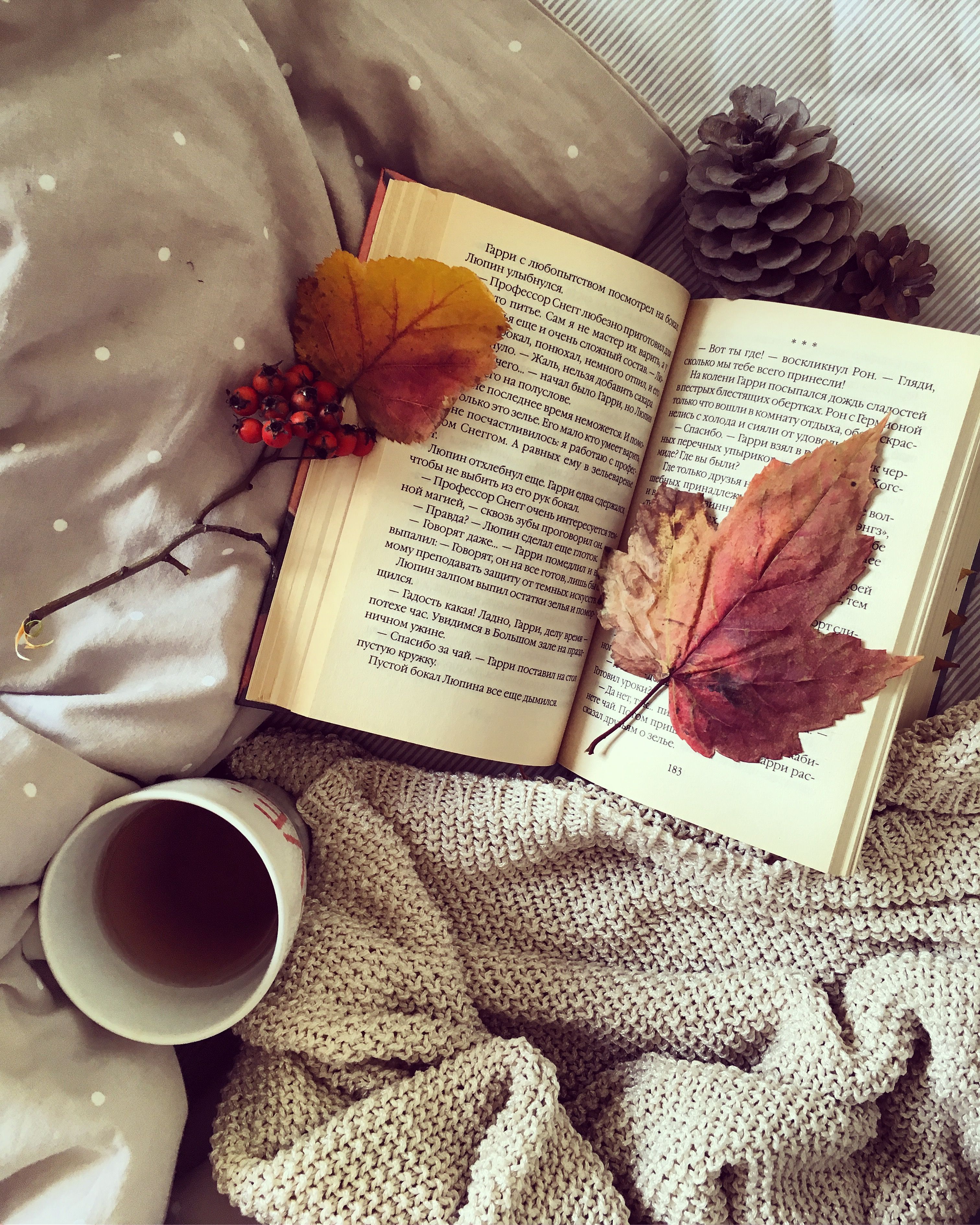 October. Autumn photography, Book photography, Fall wallpaper