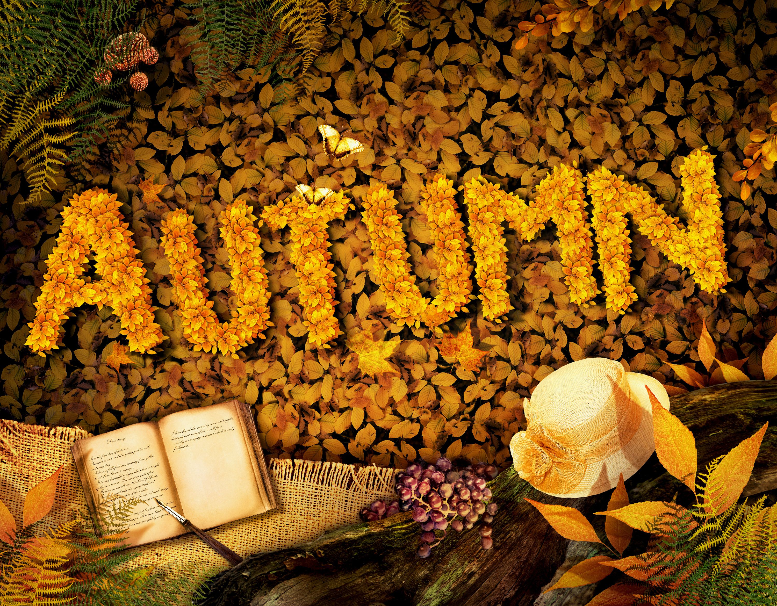 Autumn Background With Book Quality Image And Transparent PNG Free Clipart