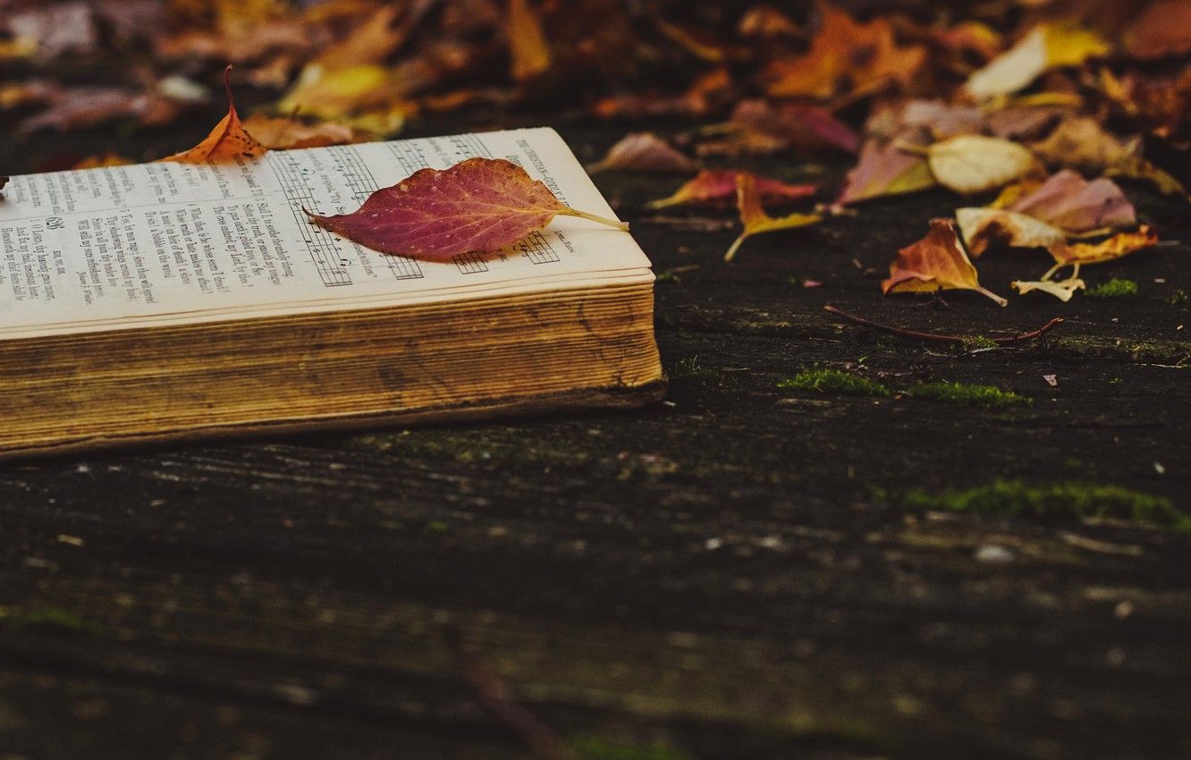 Wallpaper autumn, leaves, nature, notes, the dark background, Board, yellow, red, book, falling leaves, old, fallen, autumn, autumn leaves, Songbook image for desktop, section разное