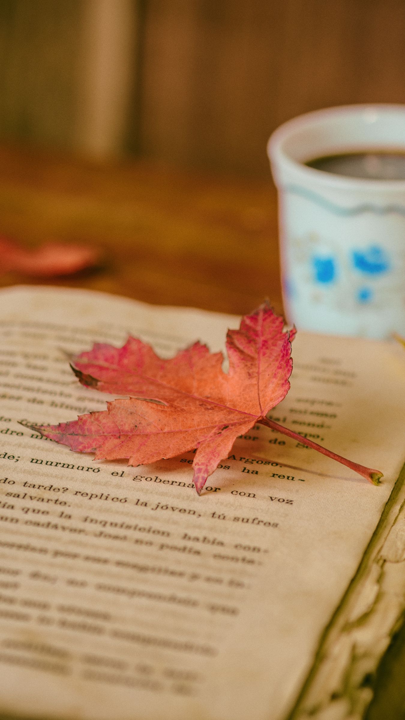 Download wallpaper 1350x2400 book, leaves, cup, autumn, comfort, reading, coffee iphone 8+/7+/6s+/for parallax HD background