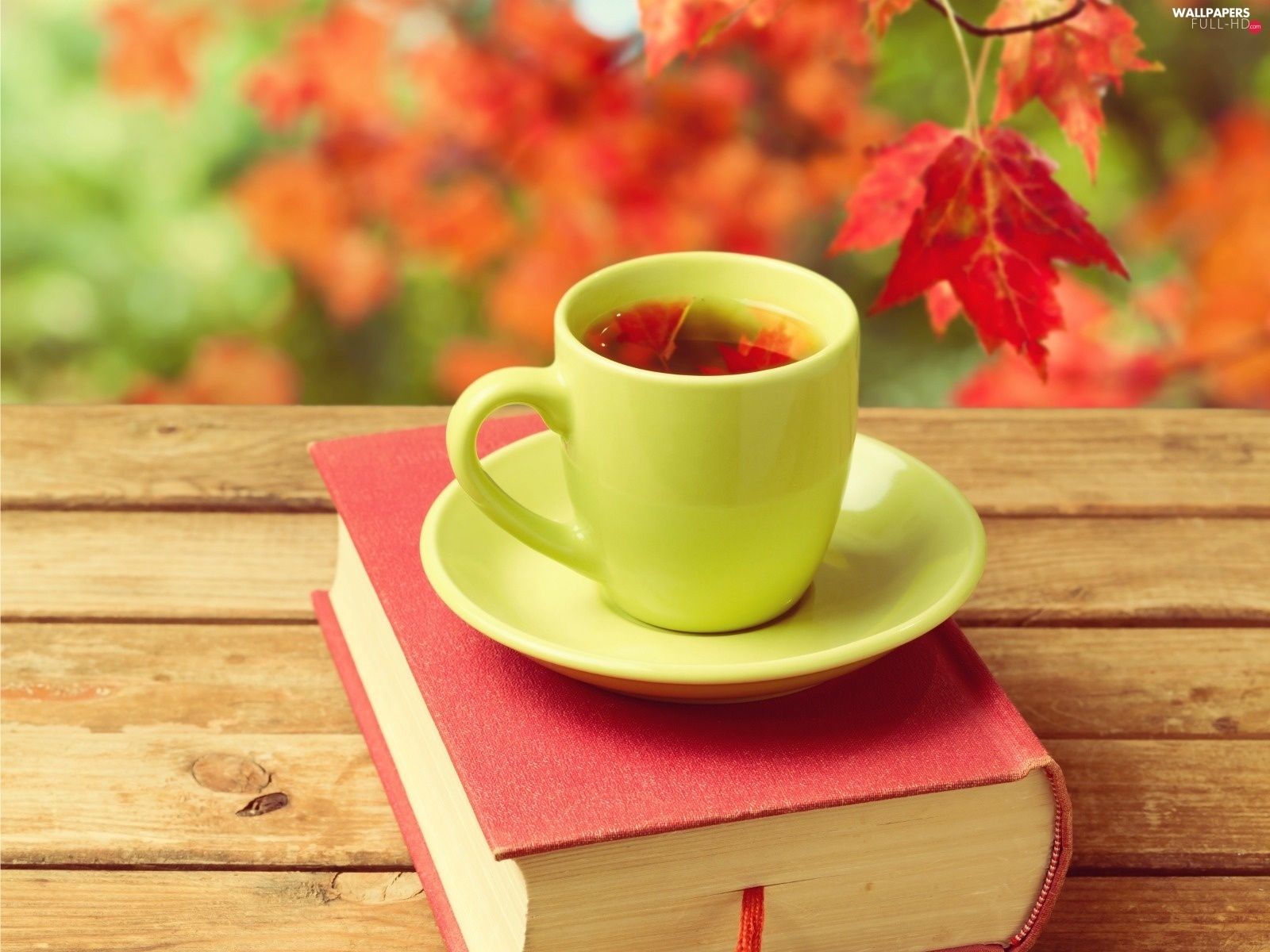 Leaf, Book, Autumn, cup, Bench, tea HD Wallpaper: 1600x1200