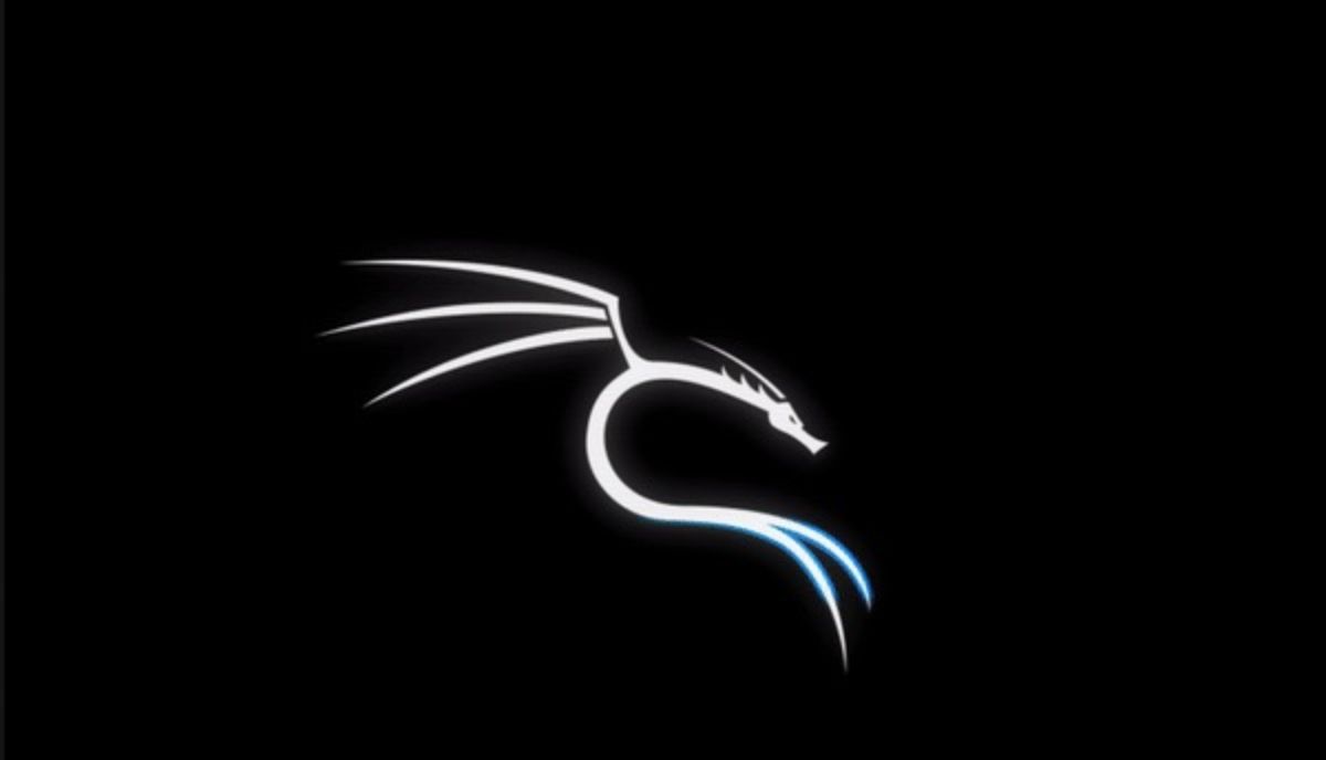 Hacker Kali Linux Wallpaper 4k