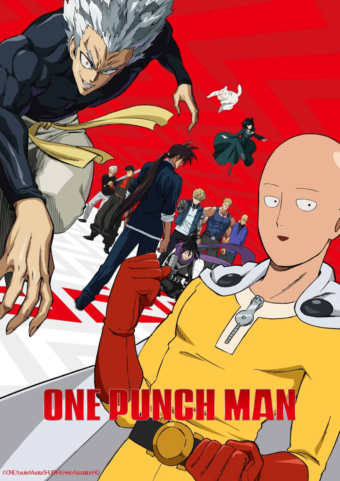 Suiryu One Punch Man Wallpaper