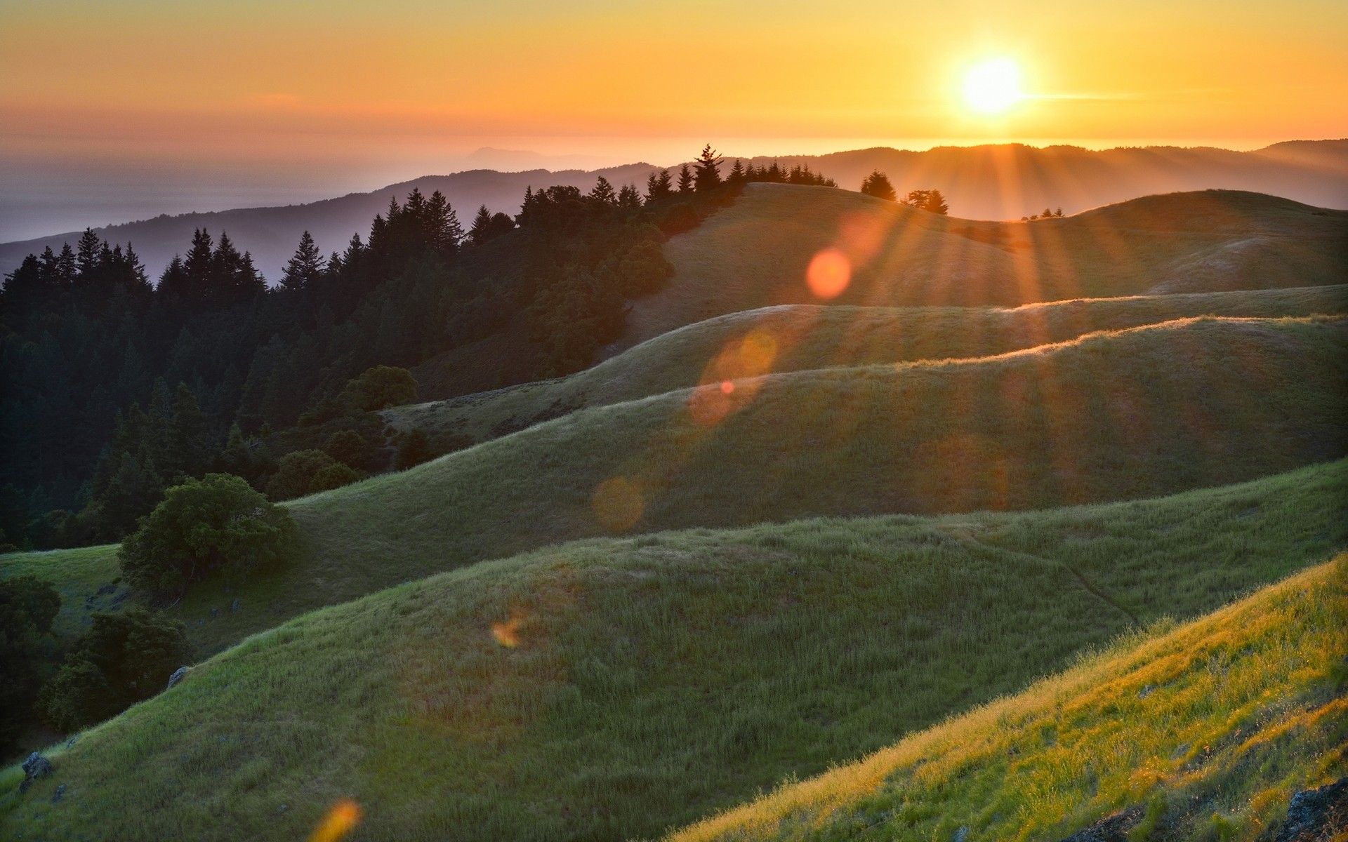 Morning sun rays glare forest hills grass dew wallpaperx1200