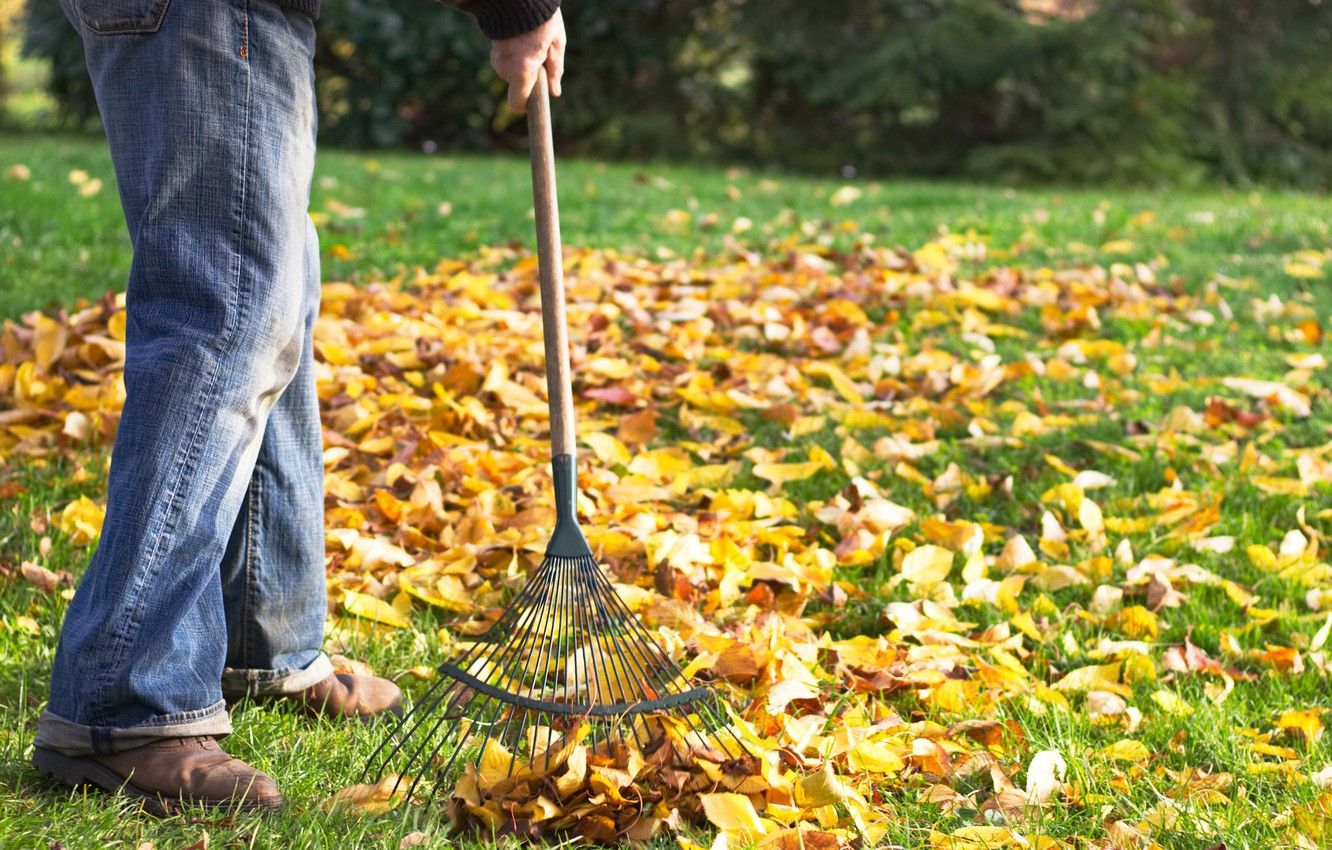 Wallpaper autumn, leaves, rake image for desktop, section разное