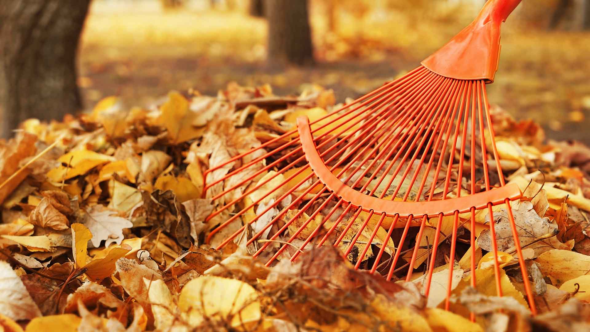 Autumn Raking Leaves Wallpapers - Wallpaper Cave