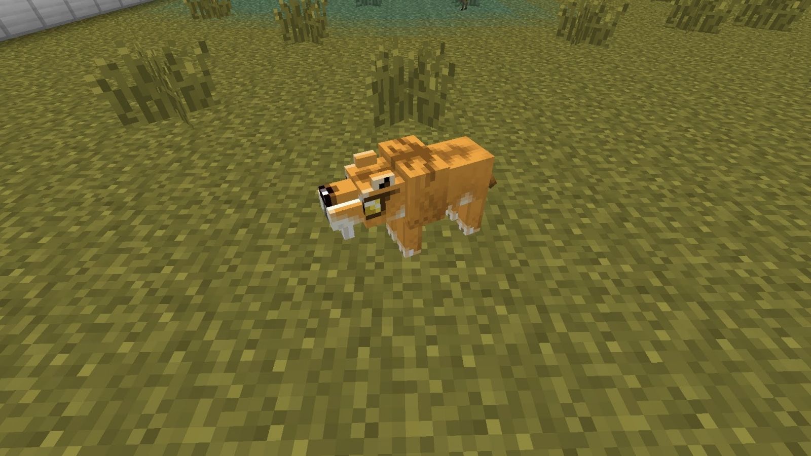 Free download 1920x1080px Minecraft Cat Wallpaper [1920x1080] for your Desktop, Mobile & Tablet. Explore Minecraft Cats Wallpaper. Minecraft Cats Wallpaper, Cats Wallpaper, Wallpaper Cats
