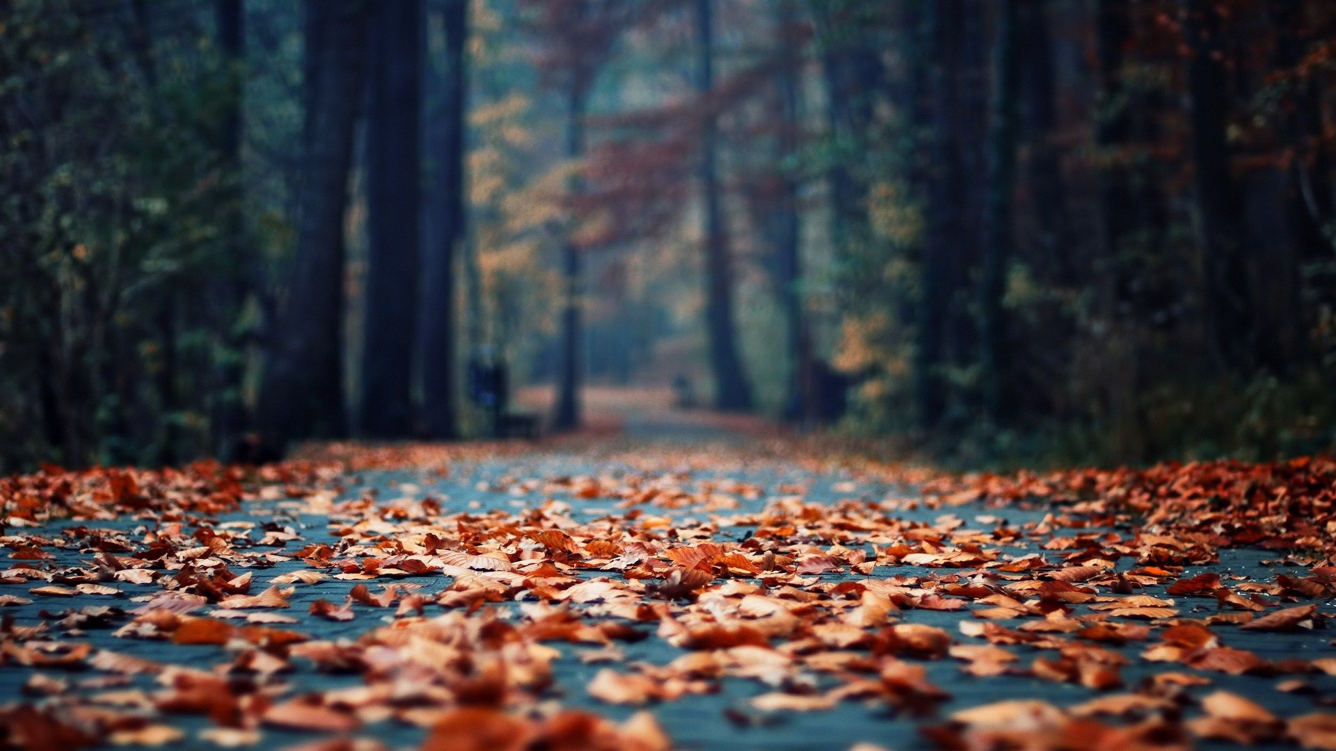 Zendha: Autumn Desktop Wallpaper 1920x1080