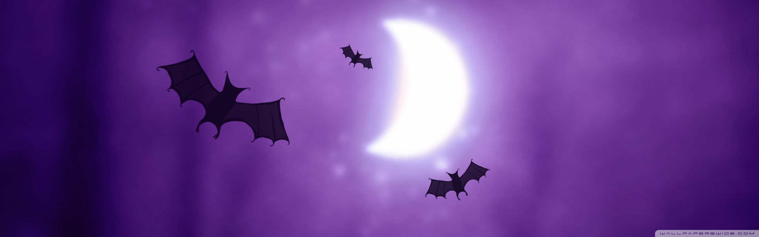 Bats Halloween Ultra HD Desktop Background Wallpaper for: Multi Display, Dual Monitor, Tablet
