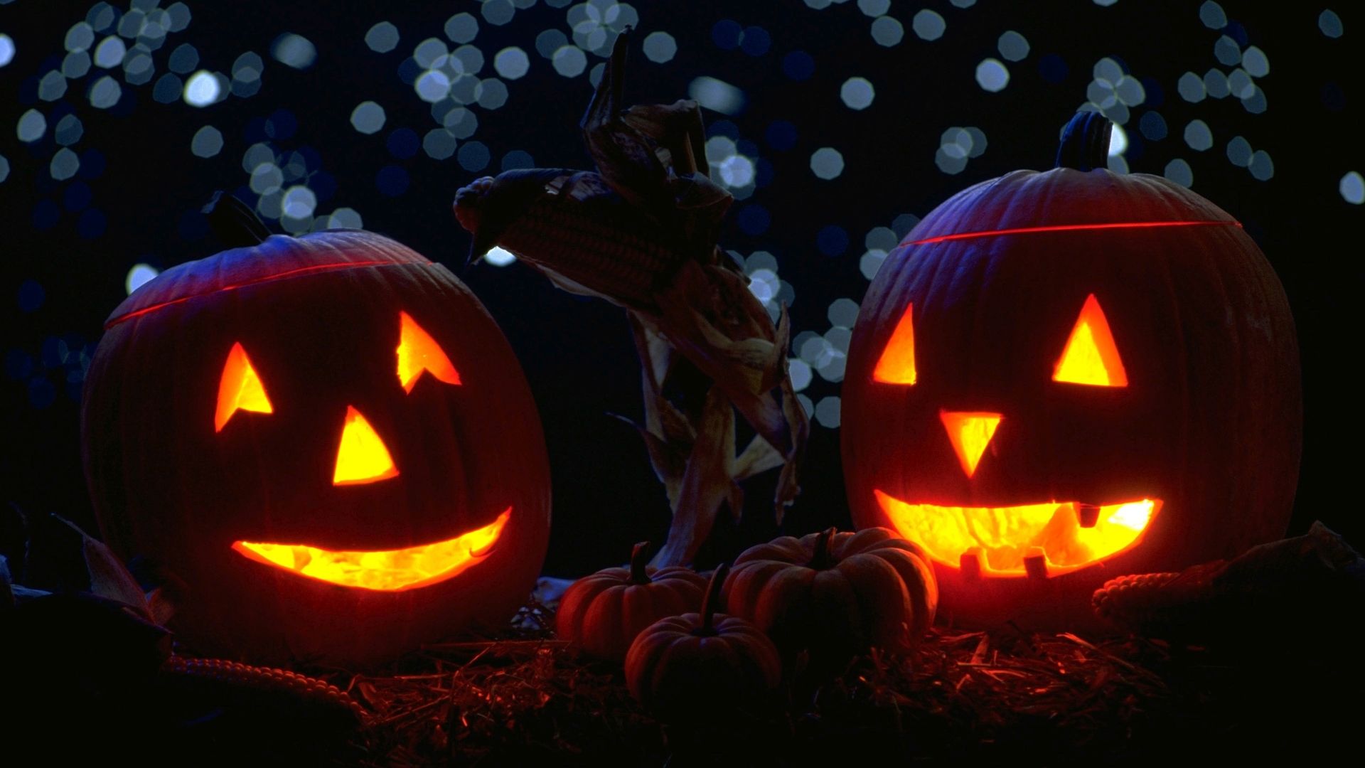 Free download Jack o lanterns Widescreen Wallpaper 8324 [1920x1080] for your Desktop, Mobile & Tablet. Explore Jack O Lantern Wallpaper. Jack Skellington Desktop Wallpaper, Animated Jack O Lantern Wallpaper