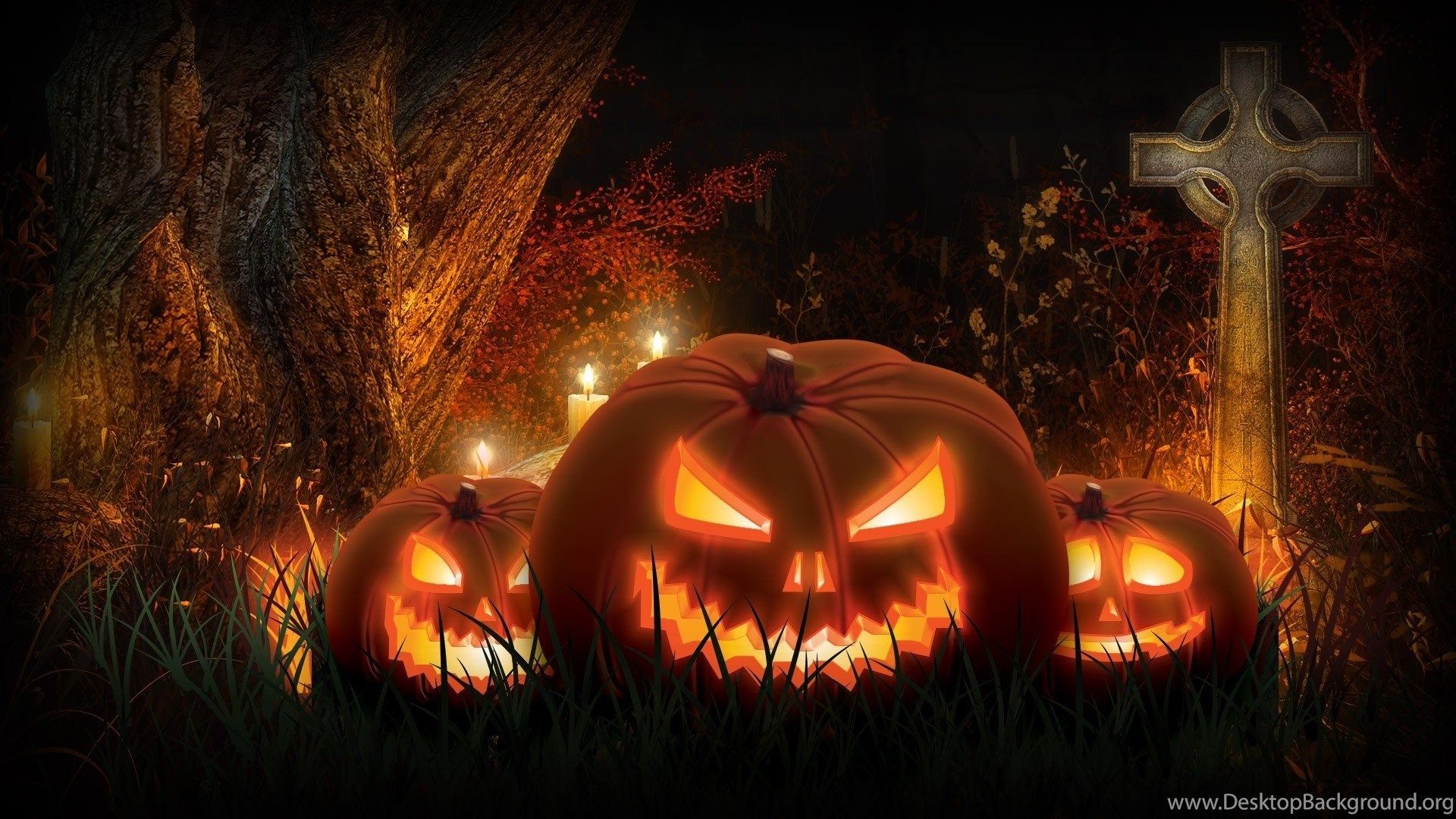 Jack o' lanterns In The Cemetery, Halloween, Pumpkin, Night. Desktop Background