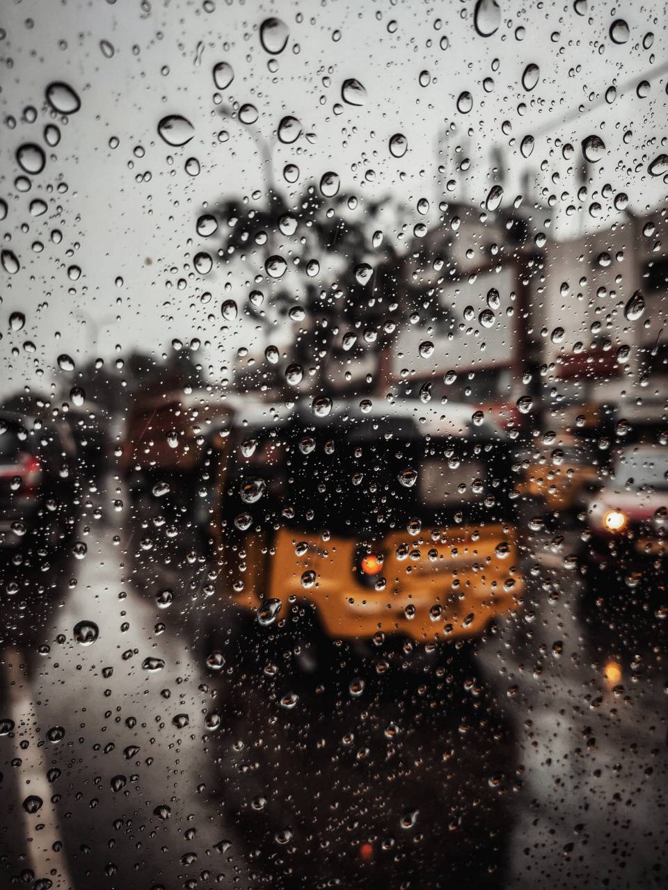 Indian Rains wallpaper