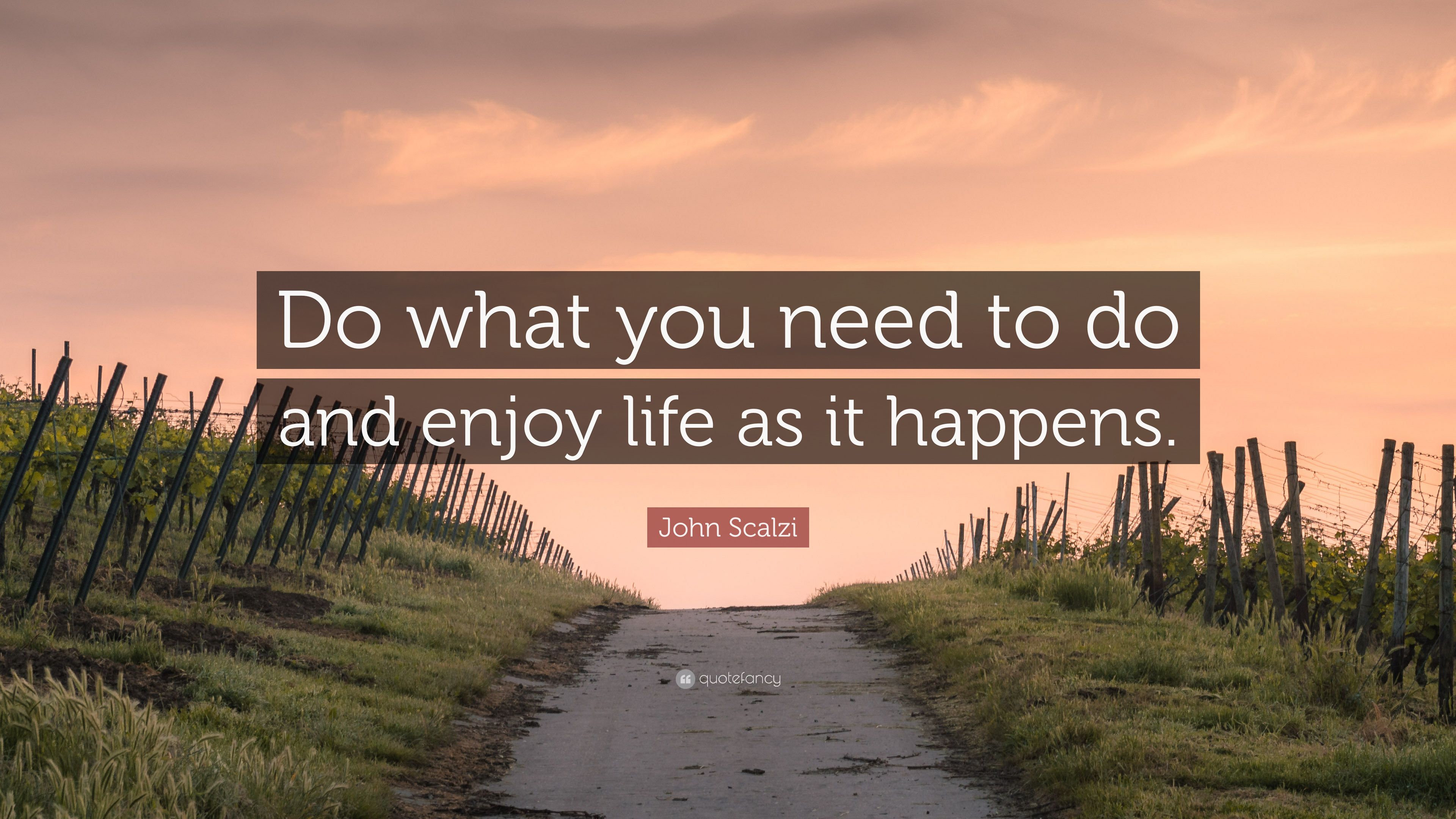 John Scalzi Quote: “Do what you need to do and enjoy life as it happens.” (7 wallpaper)