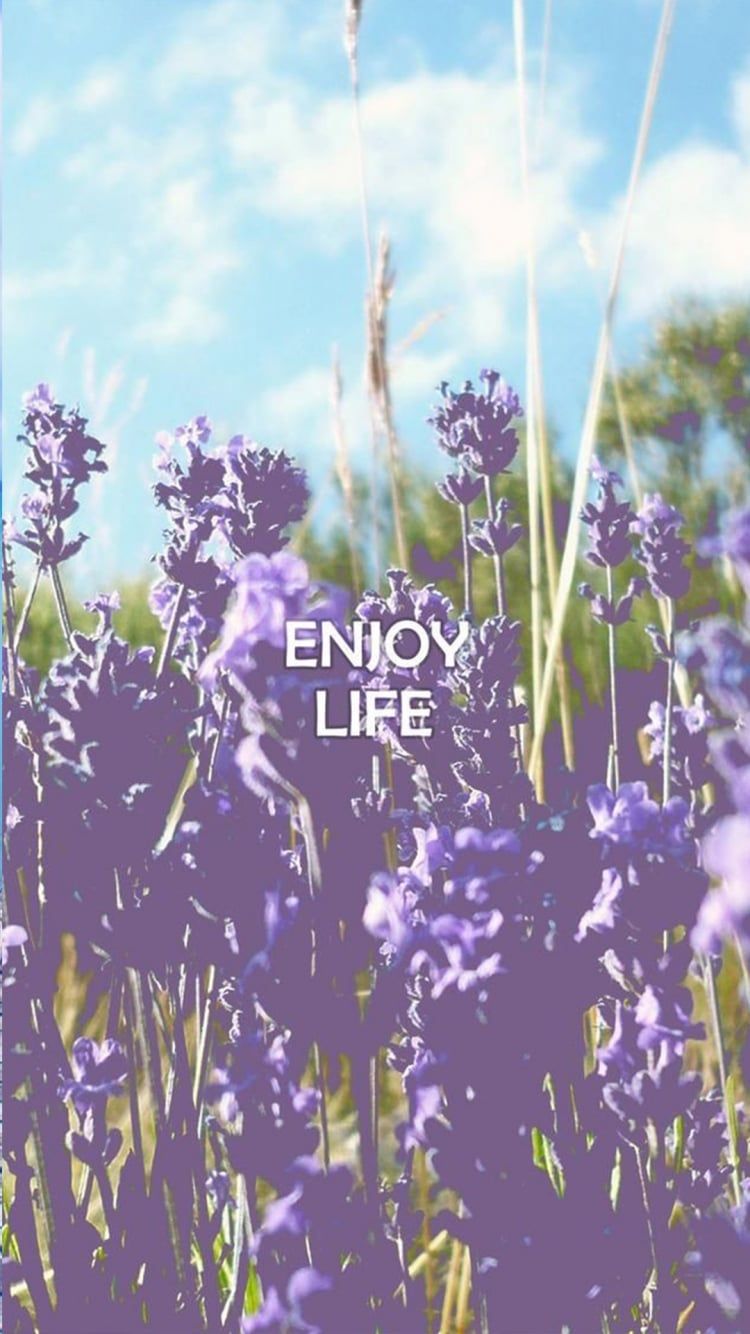 Enjoy life iPhone Wallpaper That'll Get You Pumped Every Damn Day