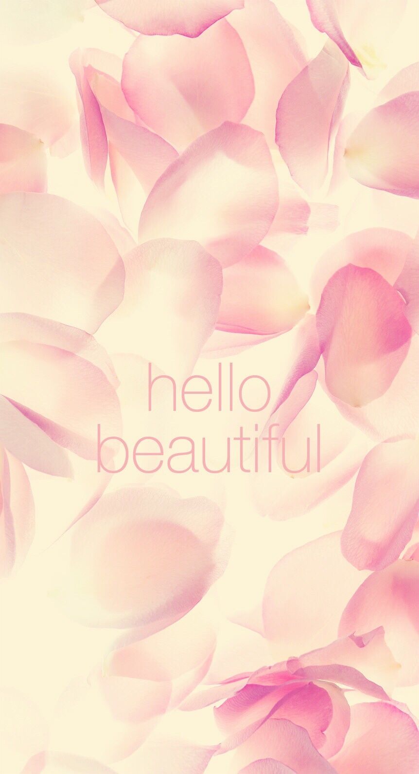 Hello Beautiful Flower Prints iPhone 6 Plus HD Wallpaper HD