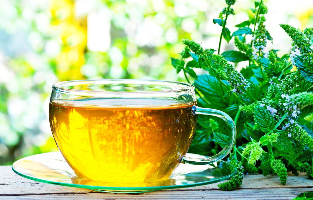 Wallpaper Plant, Cup, Mint, Infusion, Herbal Tea image for desktop, section еда