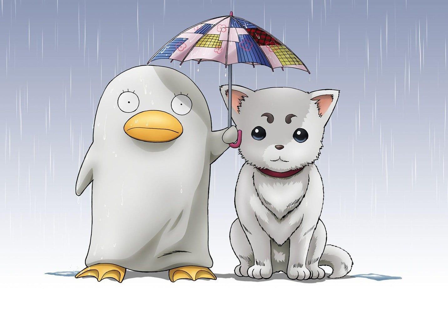 Animal Wallpaper • Gintama pet dog and duck digital wallpaper, anime, simple background • Wallpaper For You The Best Wallpaper For Desktop & Mobile