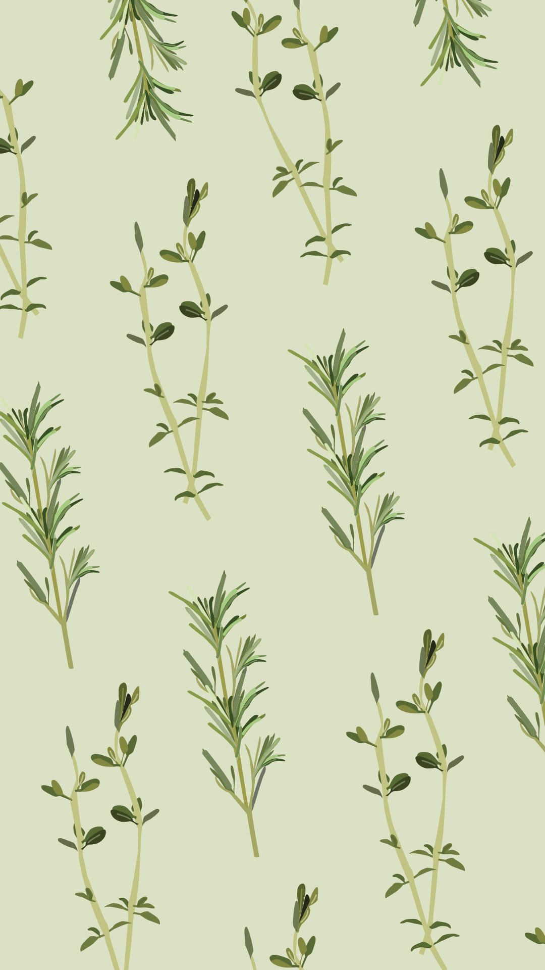 Herbs Wallpaper. Medicinal Herbs Wallpaper, Herbs Wallpaper and Fresh Herbs Background