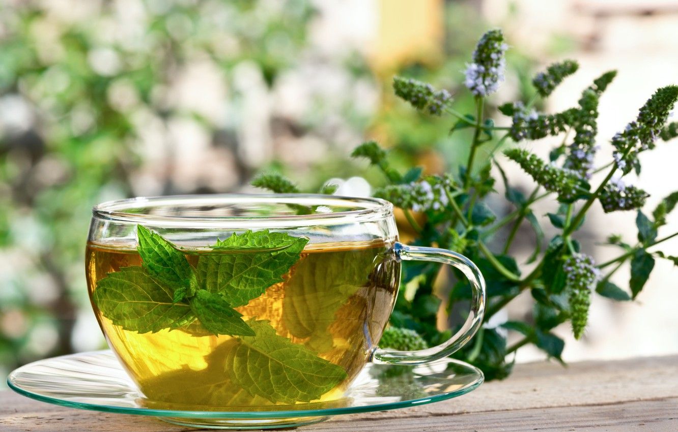 Wallpaper Cup, Mint, Infusion, Herbal Tea image for desktop, section еда