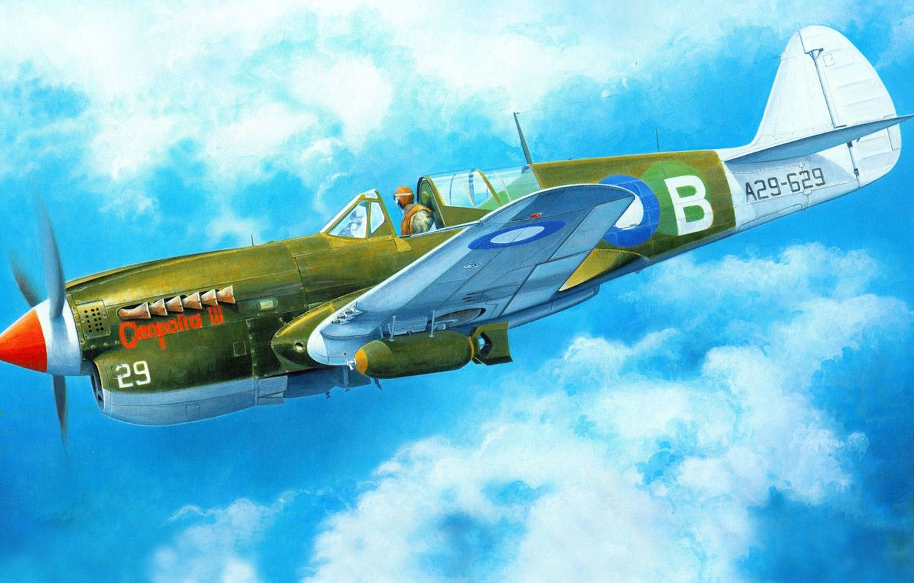 Wallpaper the plane, fighter, art, American, Curtiss, Tomahawk, P- Warhawk, WW2., Kittyhawk image for desktop, section авиация