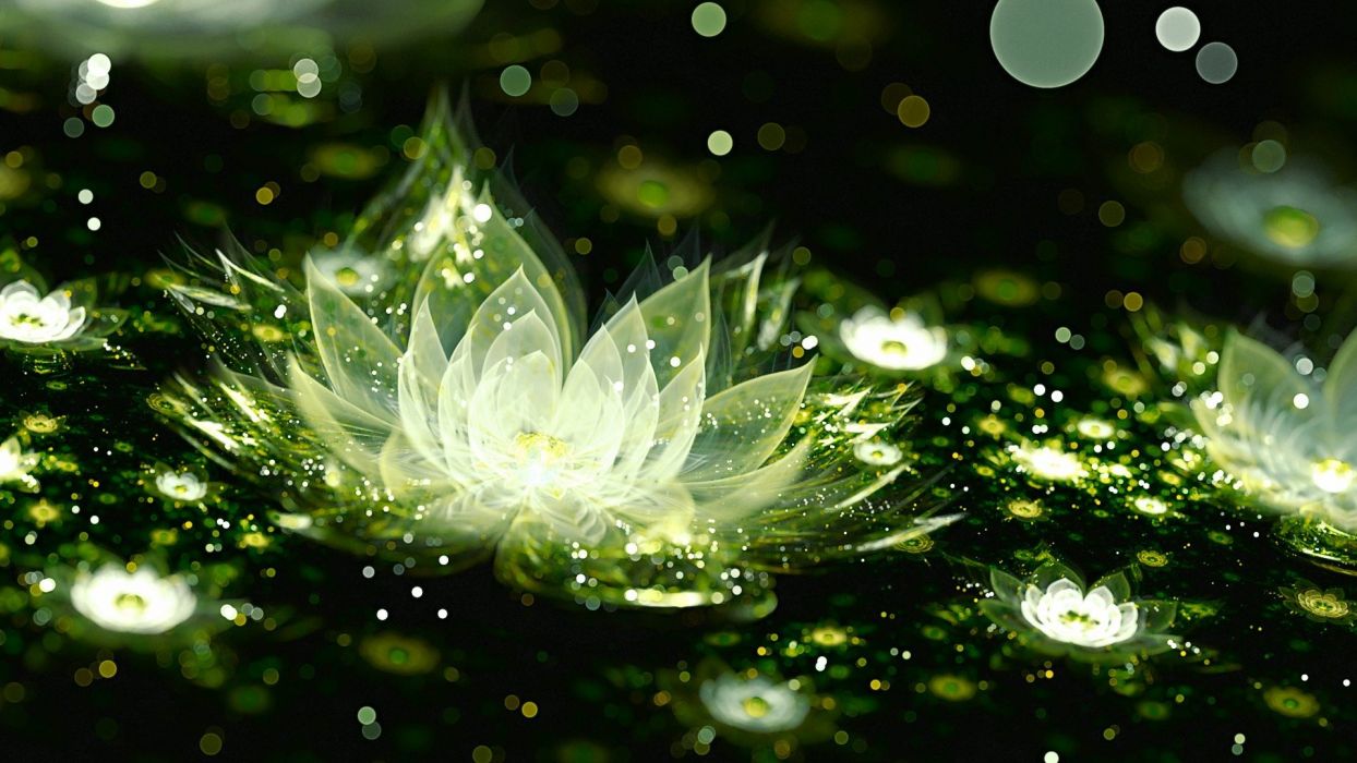 3D Graphics Water Lily Wallpaperx1080