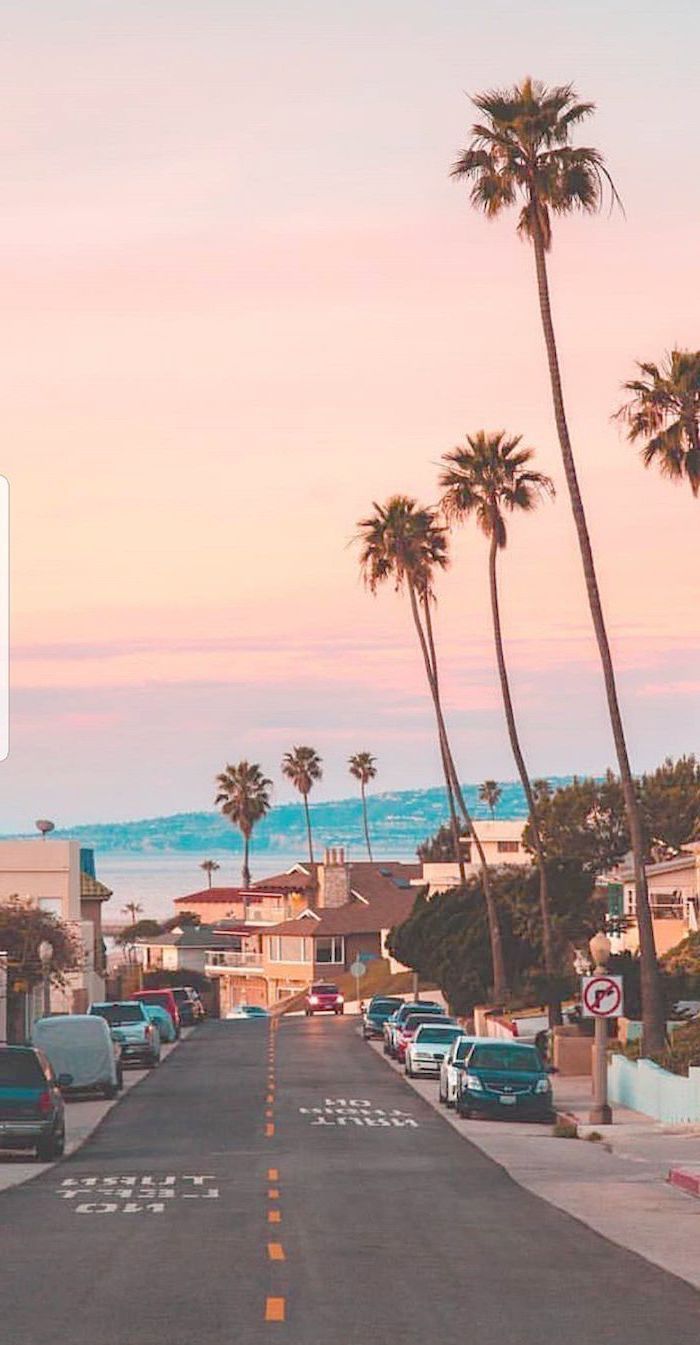 Gadgets Go Coaster Pov long Wallpaper For iPhone X In HD beyond Wallpaper For iPhone Aes. Tree wallpaper iphone, Wallpaper iphone summer, Unique iphone wallpaper