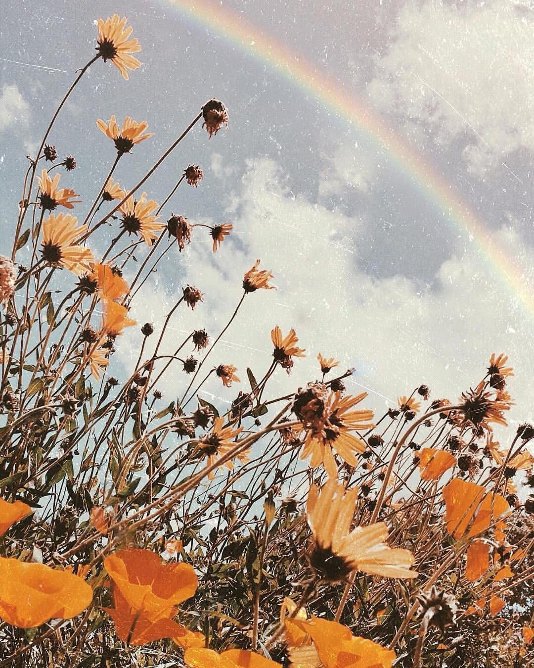 Tumblr. Flower aesthetic, Wallpaper background, Flowers