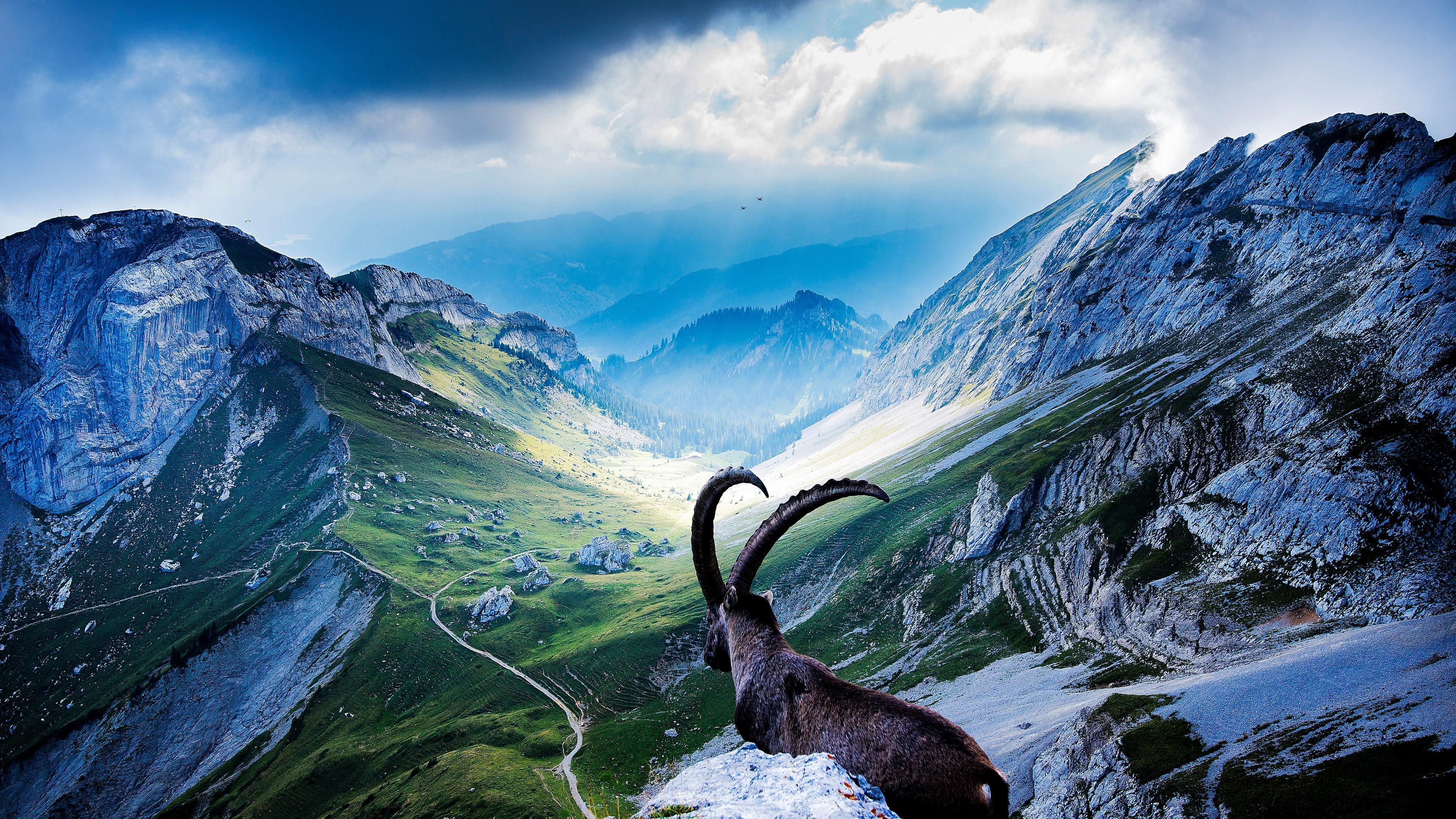 Mount Pilatus Wallpaper