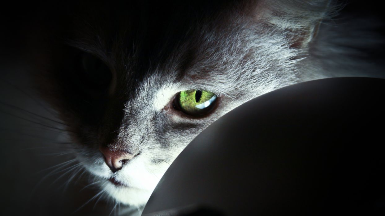 Face eyes pov wallpaperx1080